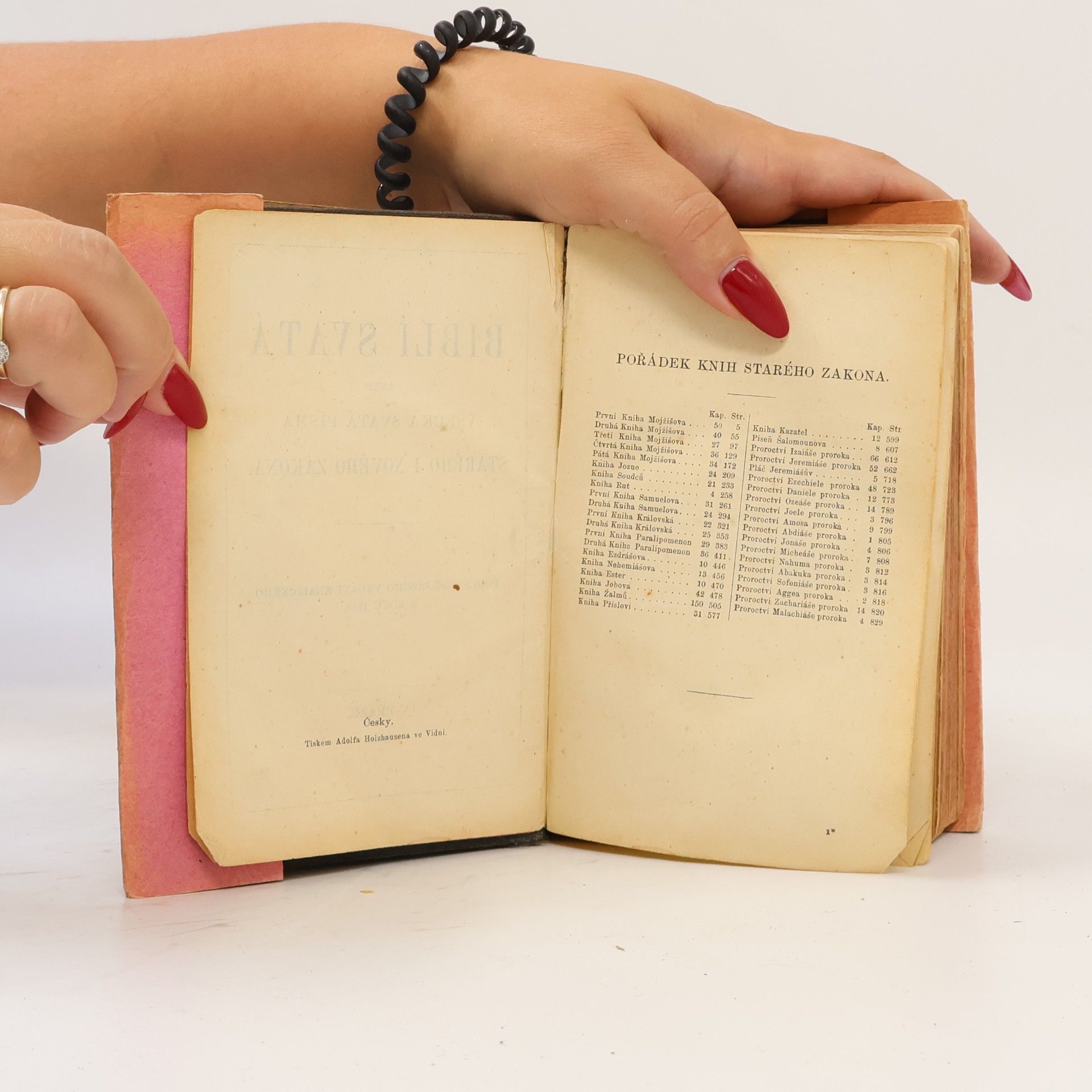 Various authors Biblí svatá aneb Všecka svatá písma Starého i Nového zákona