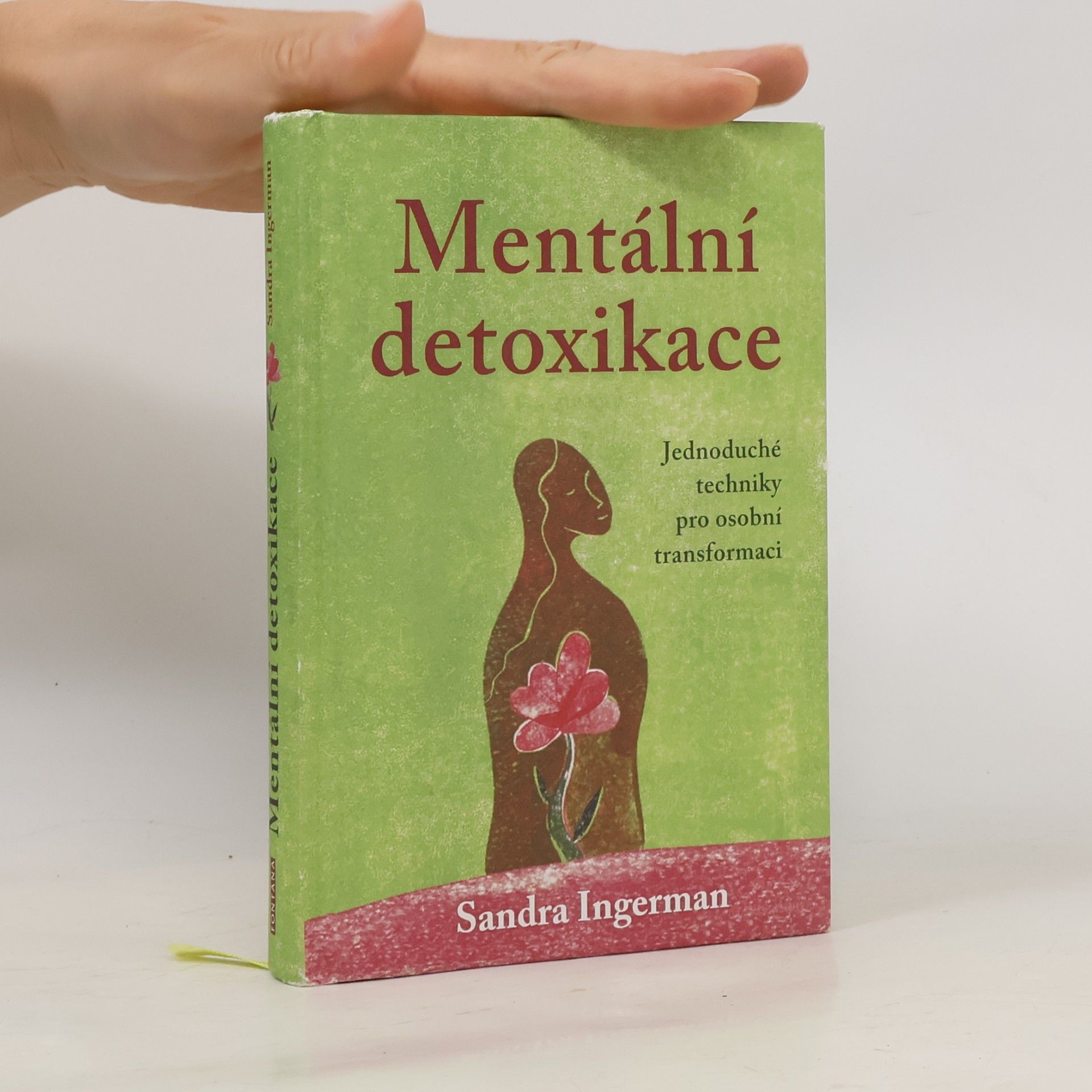 Sandra Ingerman Mentální detoxikace