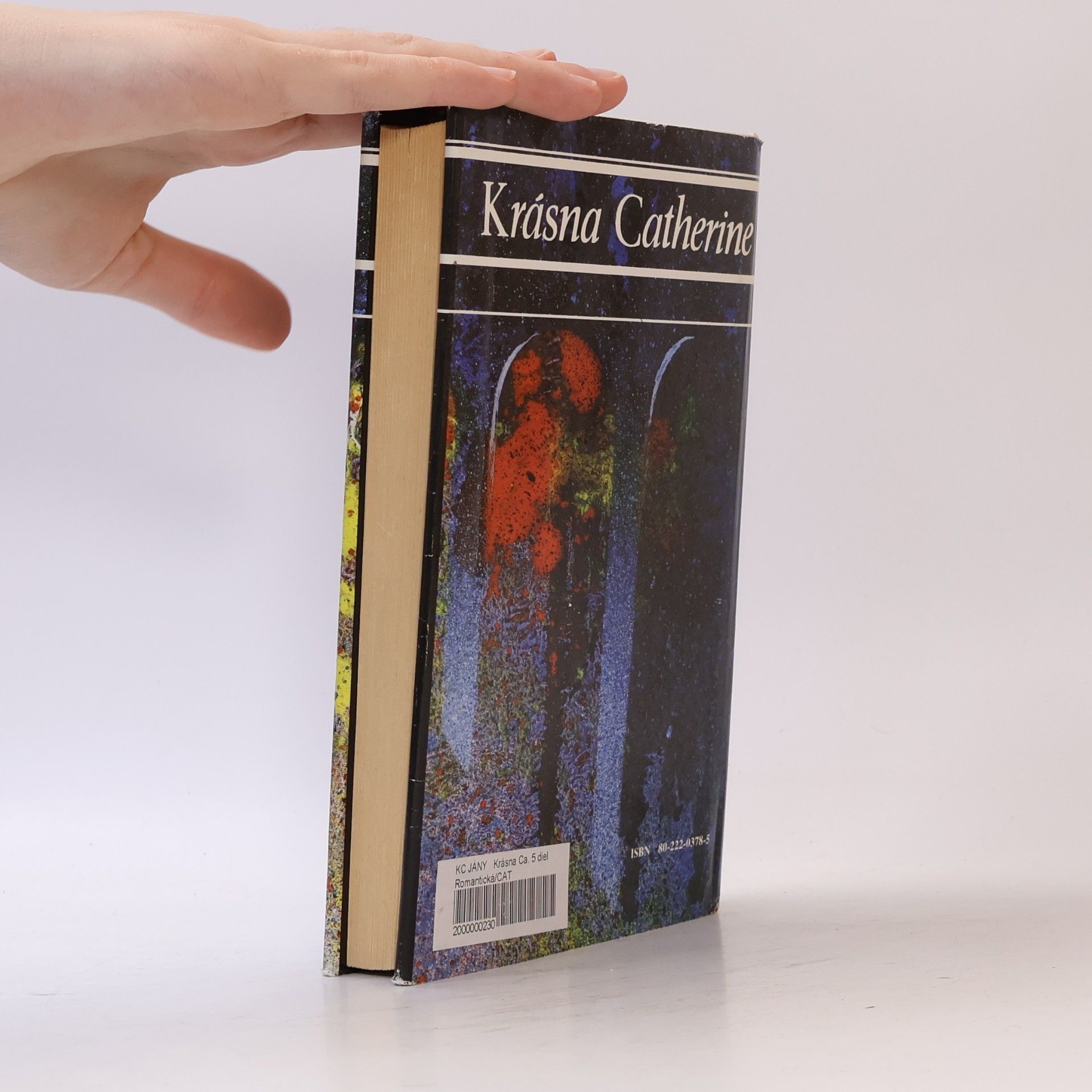 Juliette Benzoniová Krásna Catherine 5