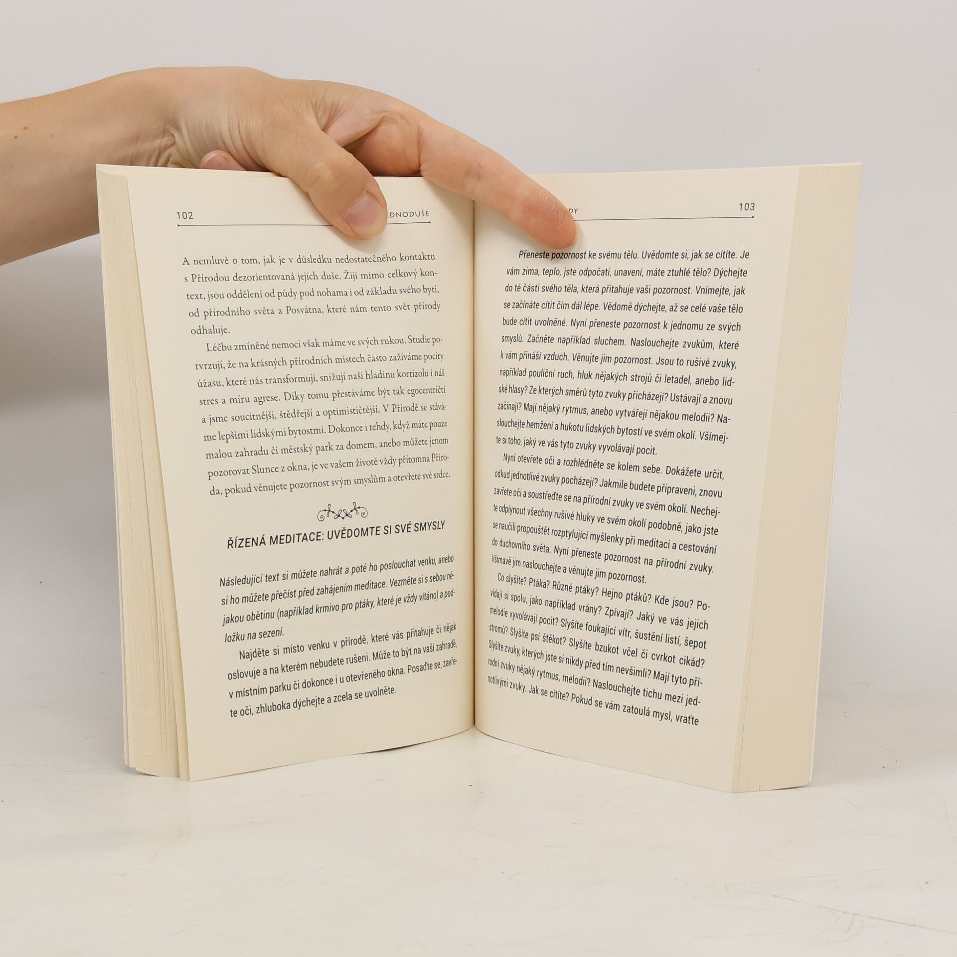Phyllis W. Curott Wicca jednoduše : probuzení božského kouzla ve vás