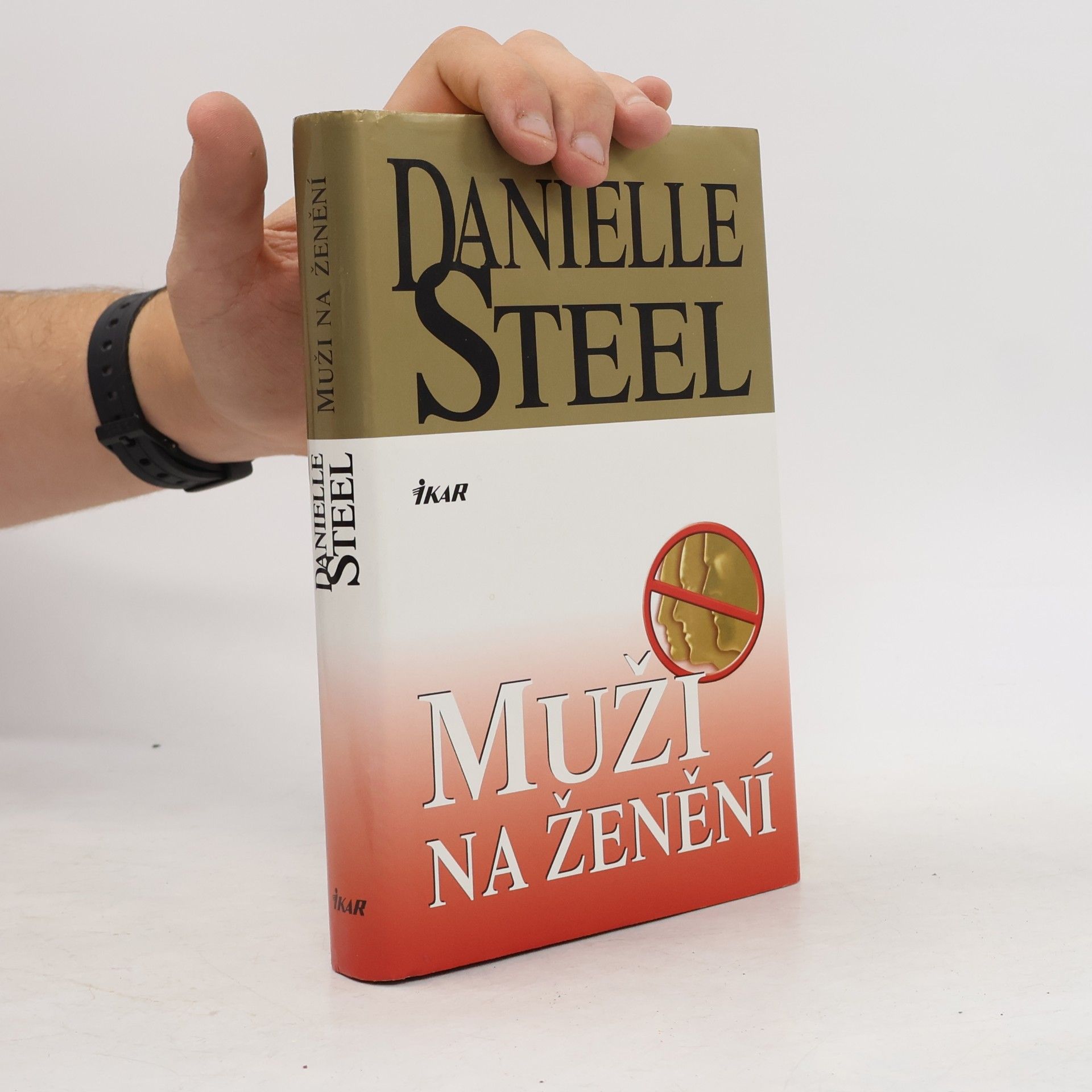 Danielle Steel Muži na ženění