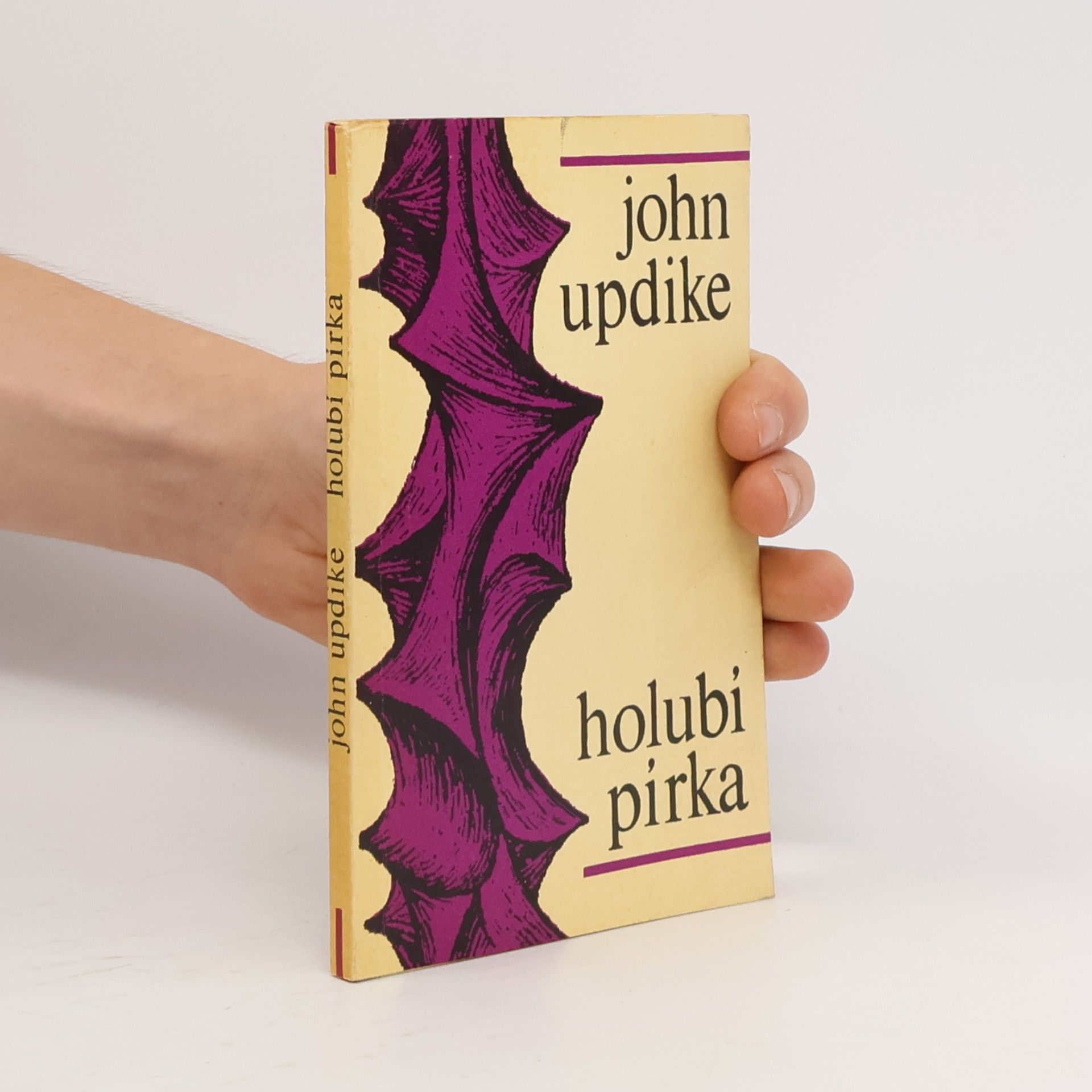 John Updike Holubí pírka