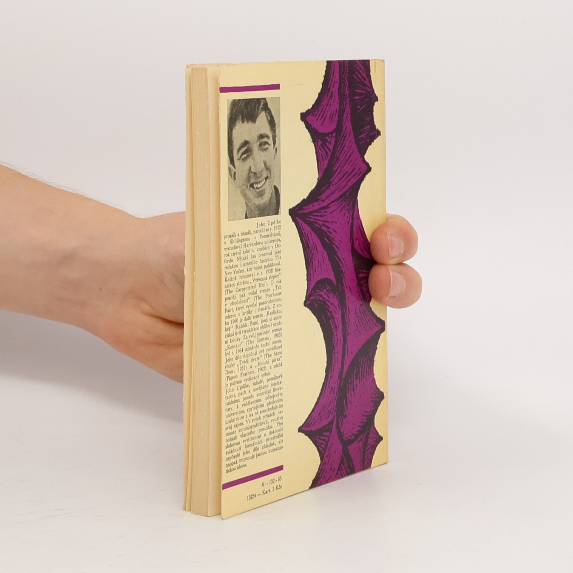 John Updike Holubí pírka