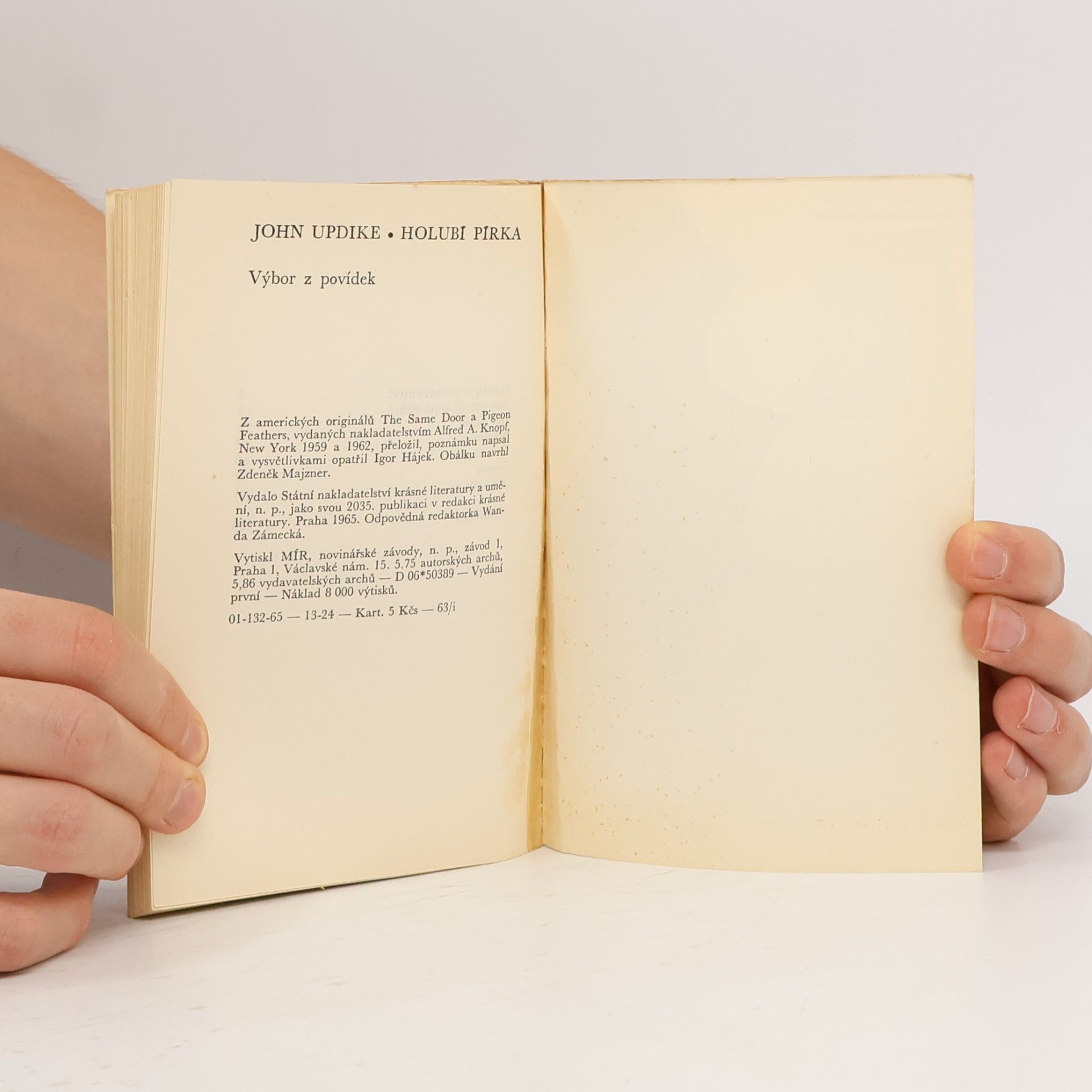 John Updike Holubí pírka