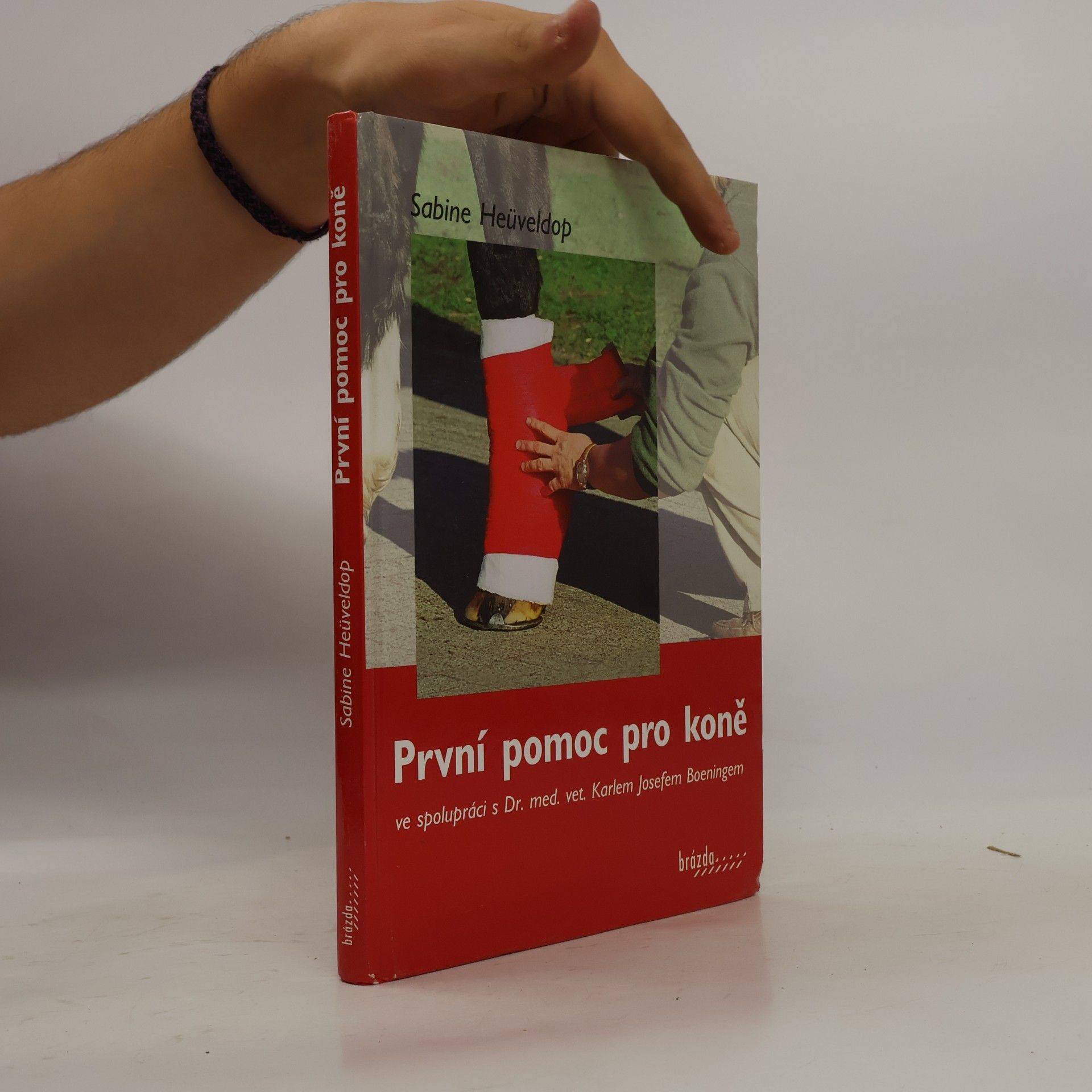 Karl Josef Boening První pomoc pro koně