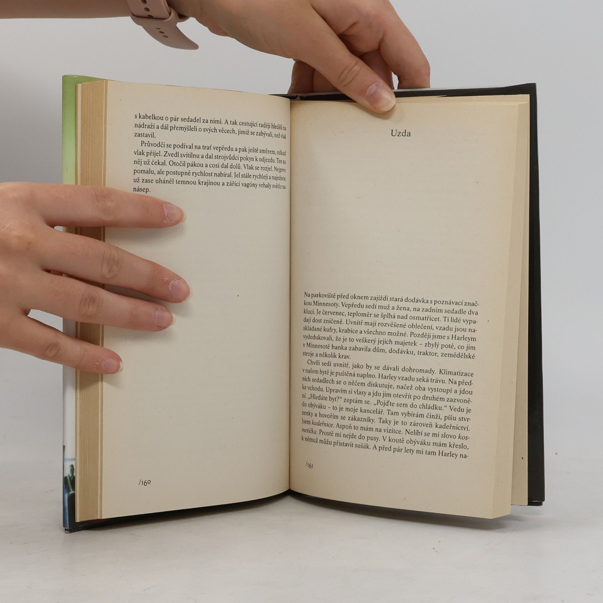 Raymond Carver Buď, prosím tě, zticha : (a jiné povídky)