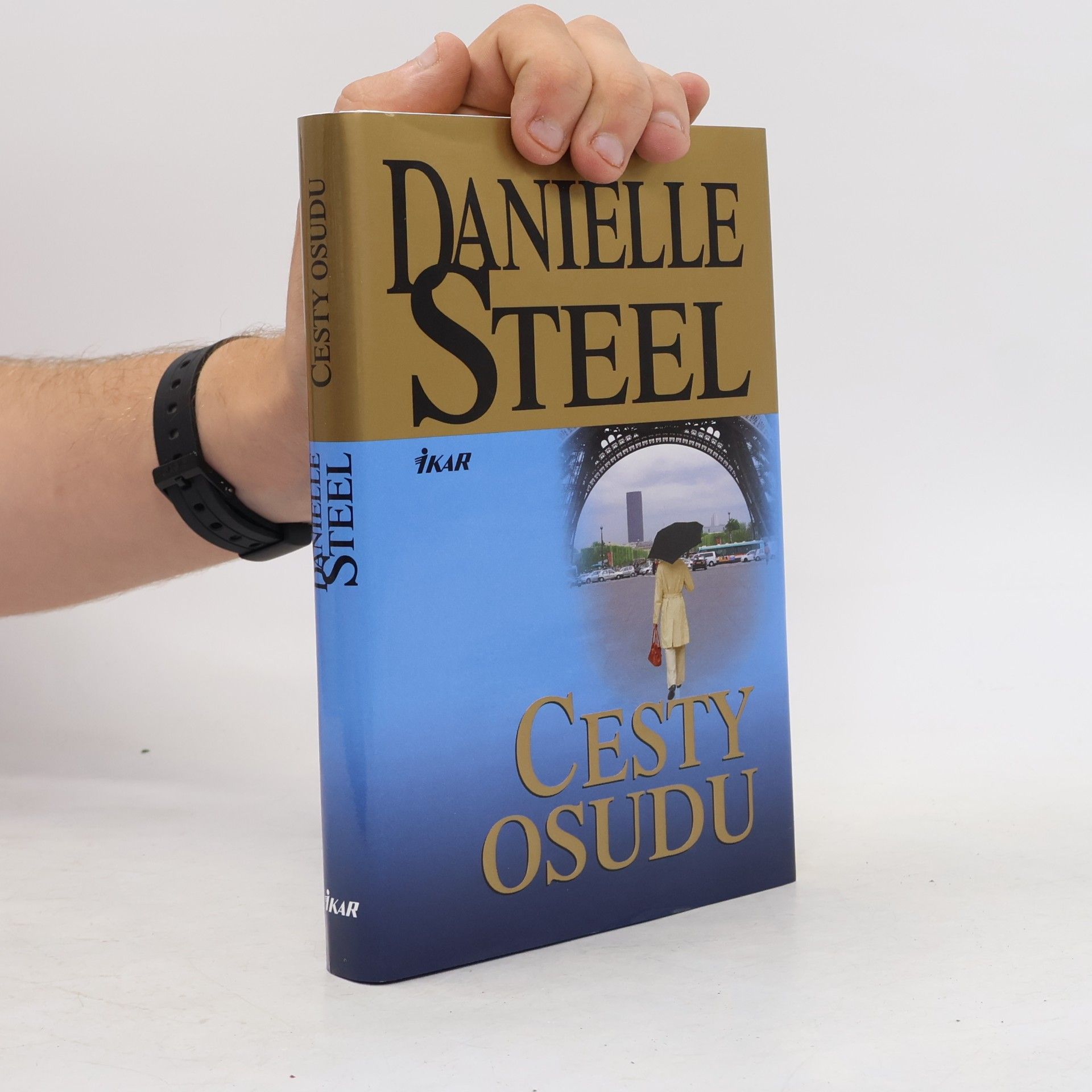 Danielle Steel Cesty osudu