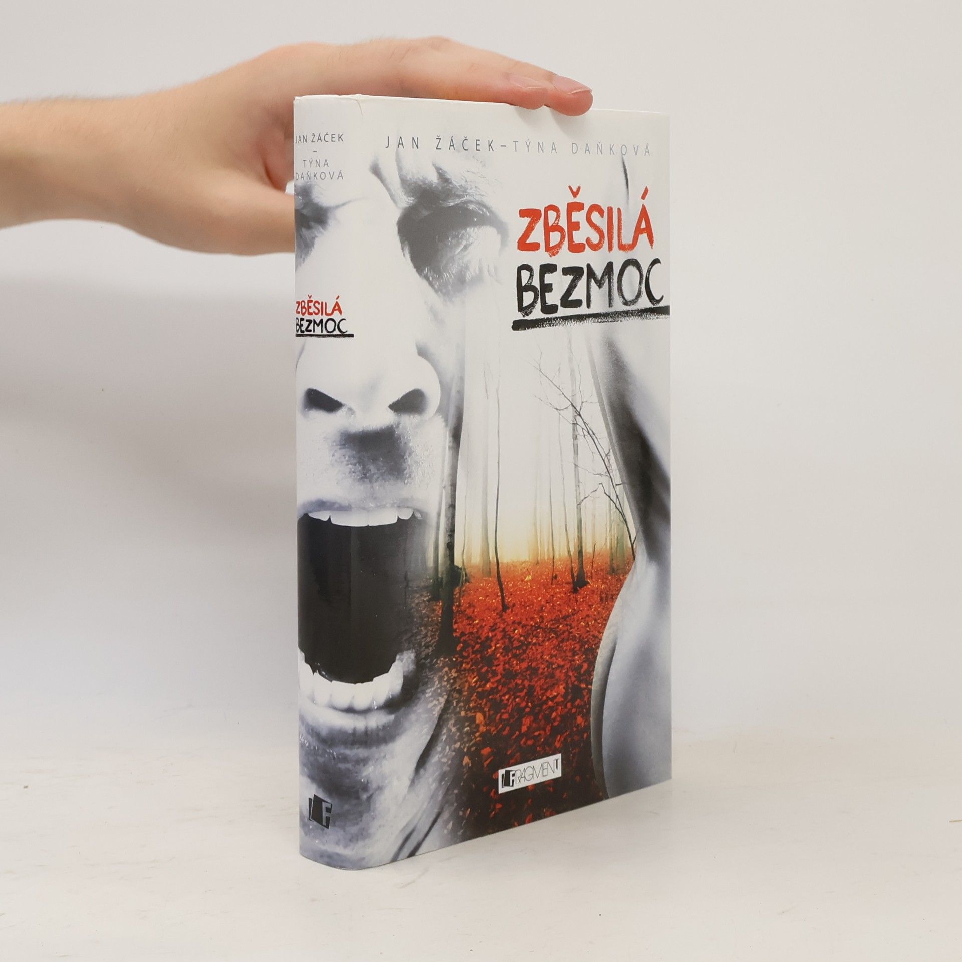 Týna Daňková Zběsilá bezmoc