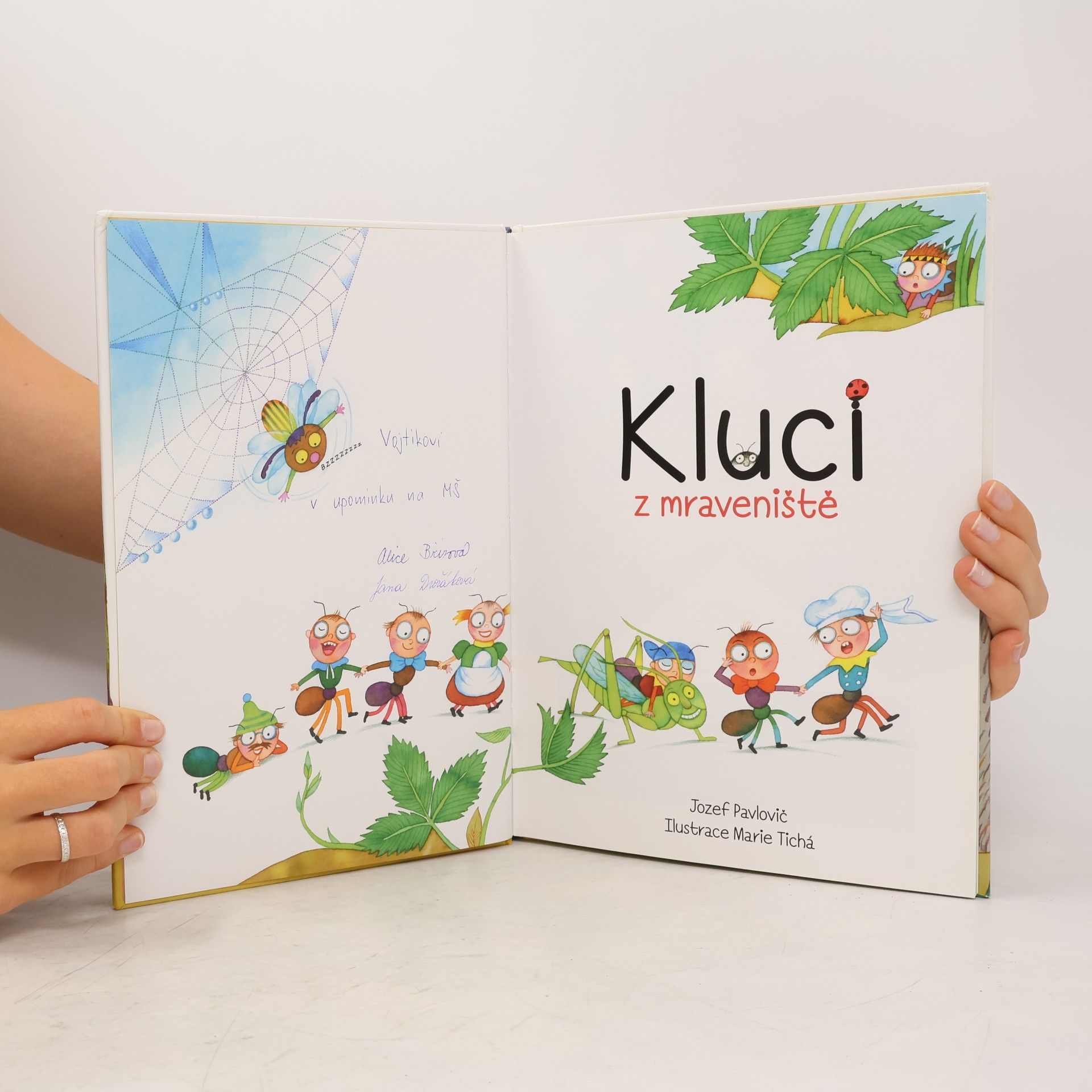 Marie Tichá Kluci z mraveniště