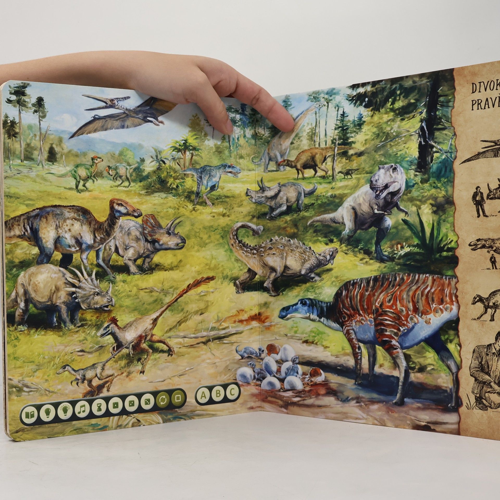 Collectif d'auteurs Dinosauři