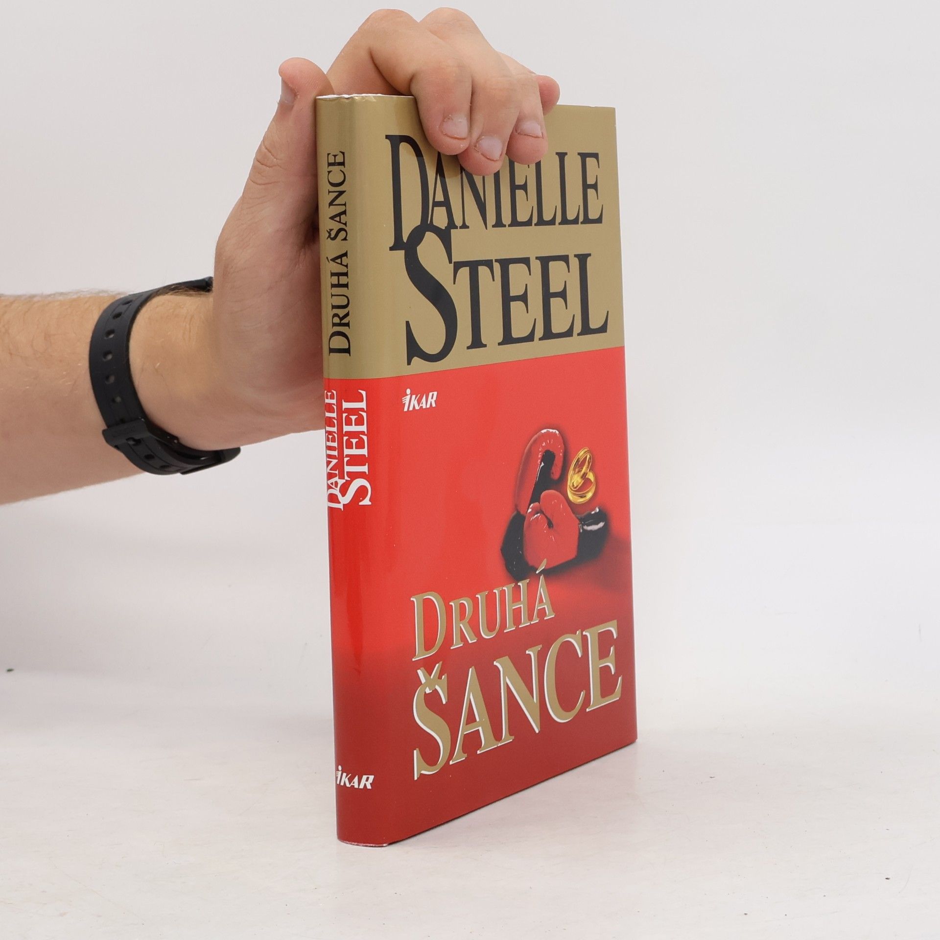 Danielle Steel Druhá šance