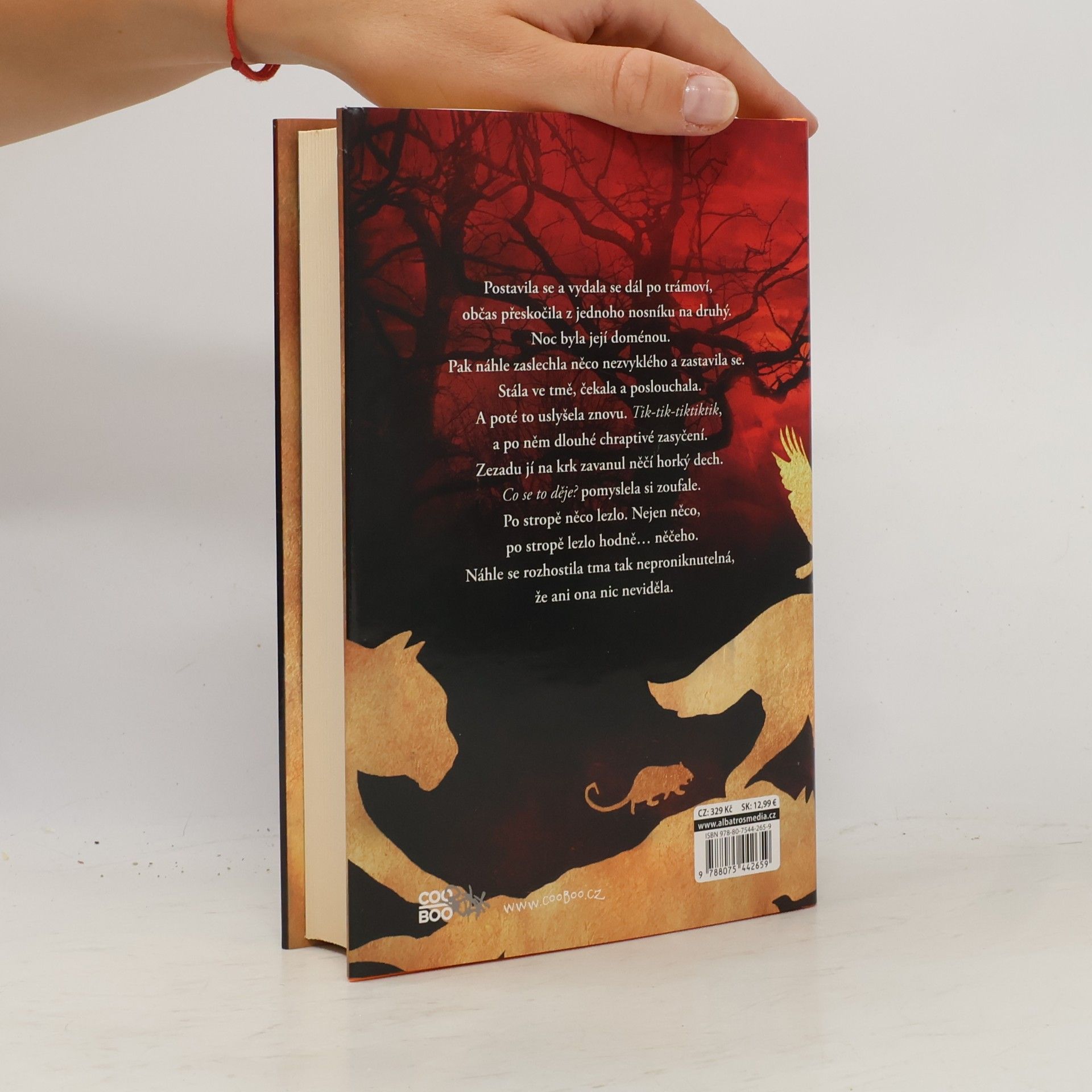 Robert Beatty Serafina a čarodějná hůl
