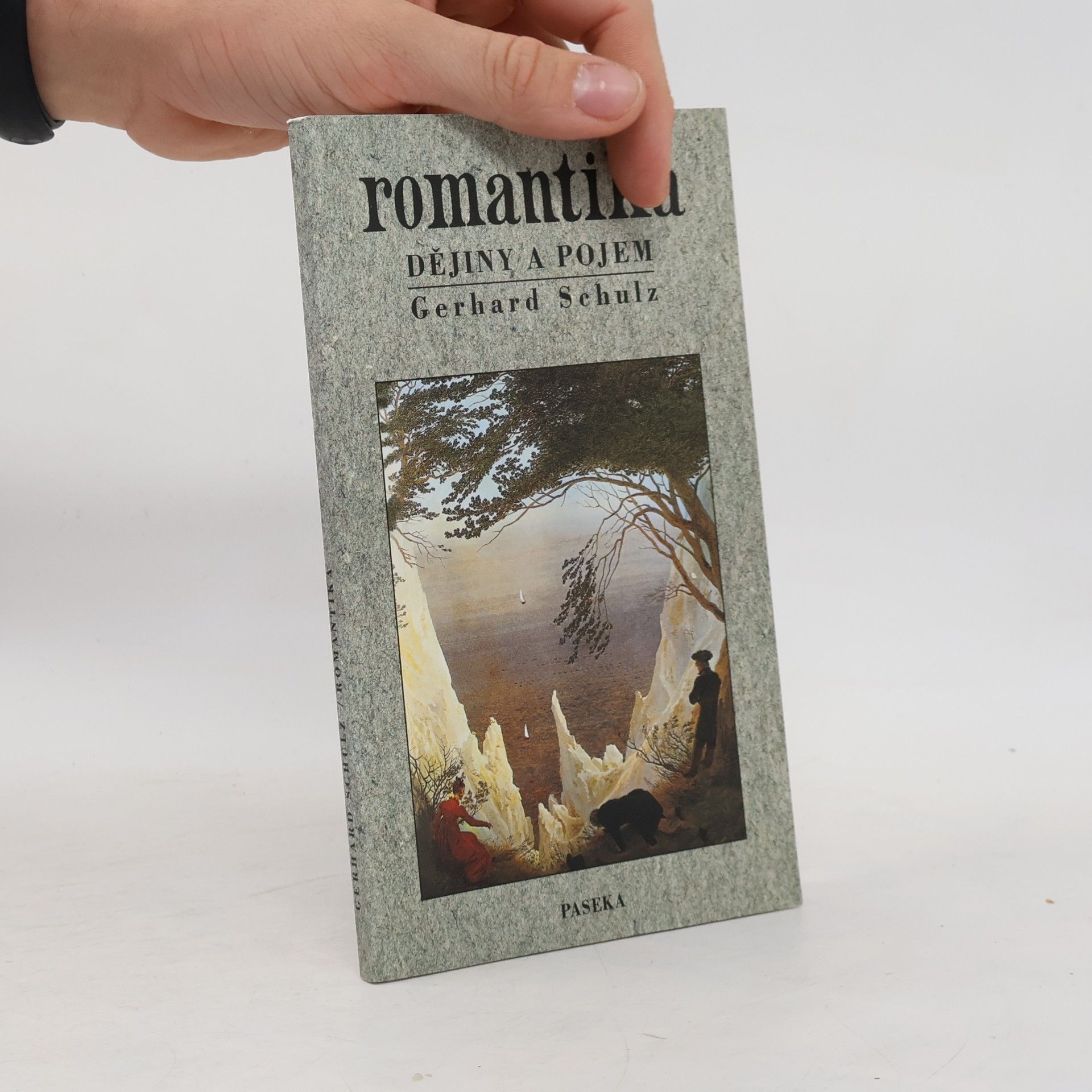 Gerhard Schulz Romantika. Dějiny a pojem