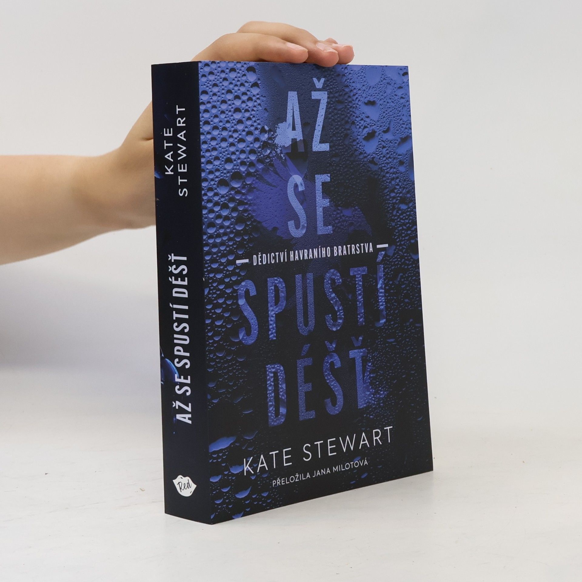 Kate Stewart Až se spustí déšť
