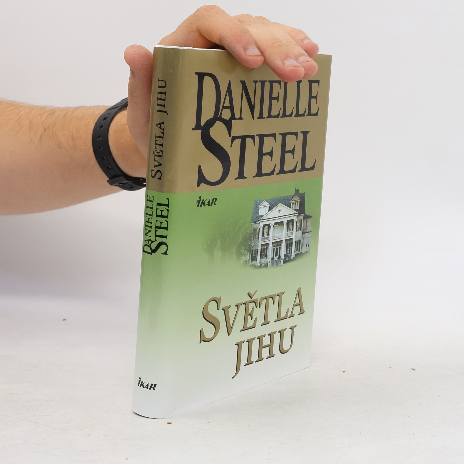 Danielle Steel Světla Jihu