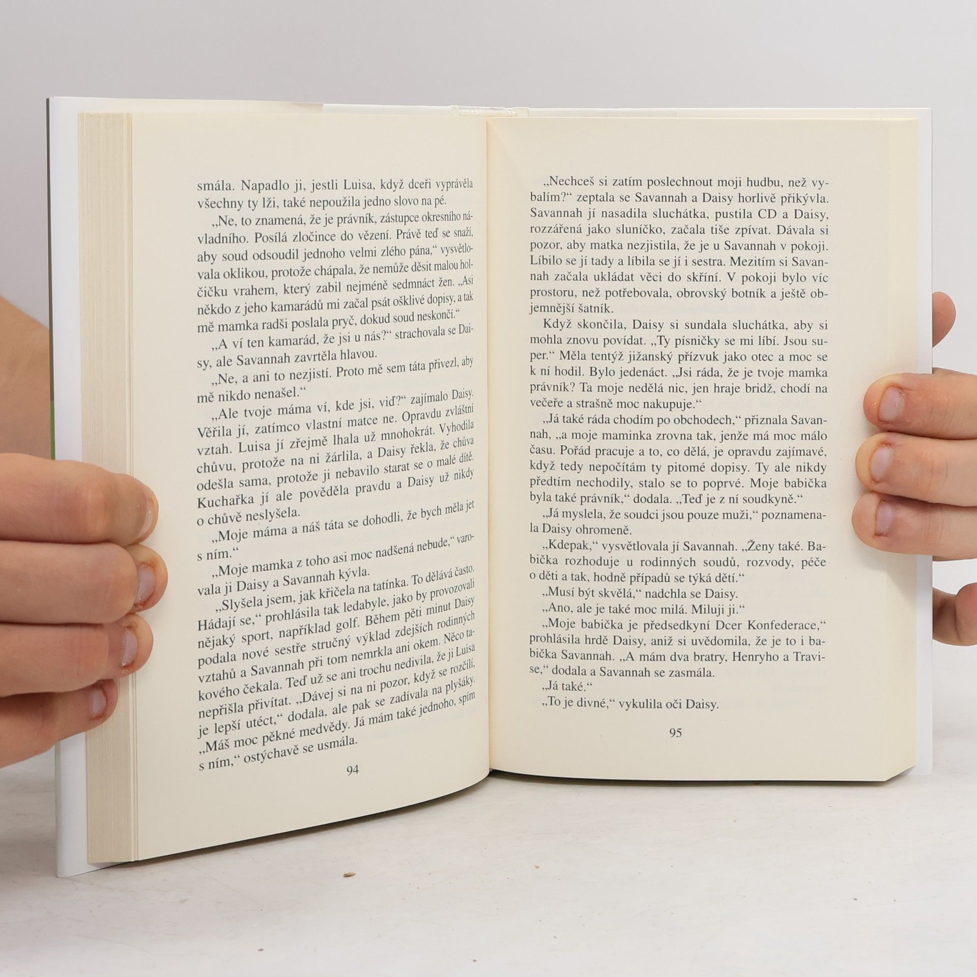 Danielle Steel Světla Jihu
