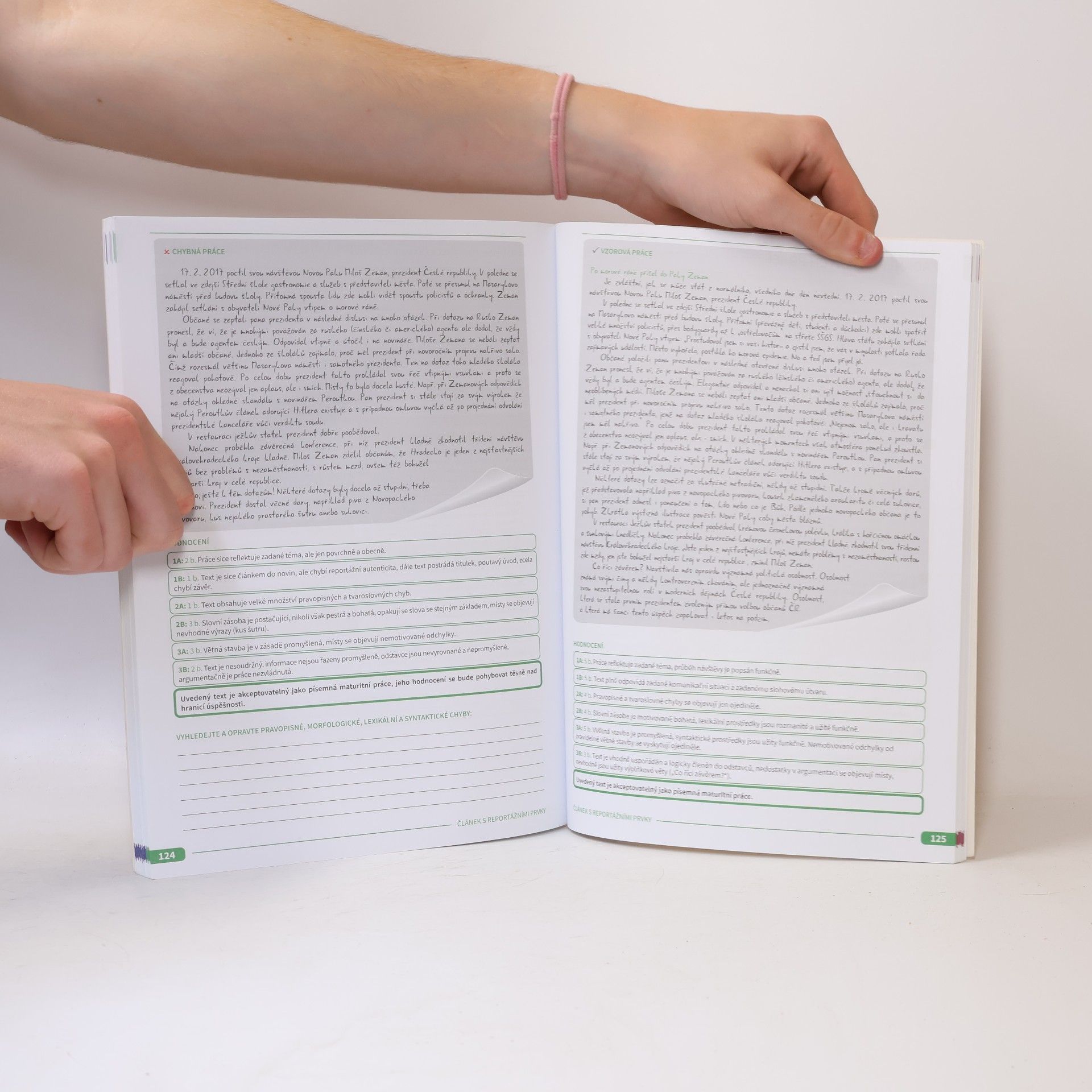 Autorenkollektiv Maturita v pohodě. Český jazyk a literatura