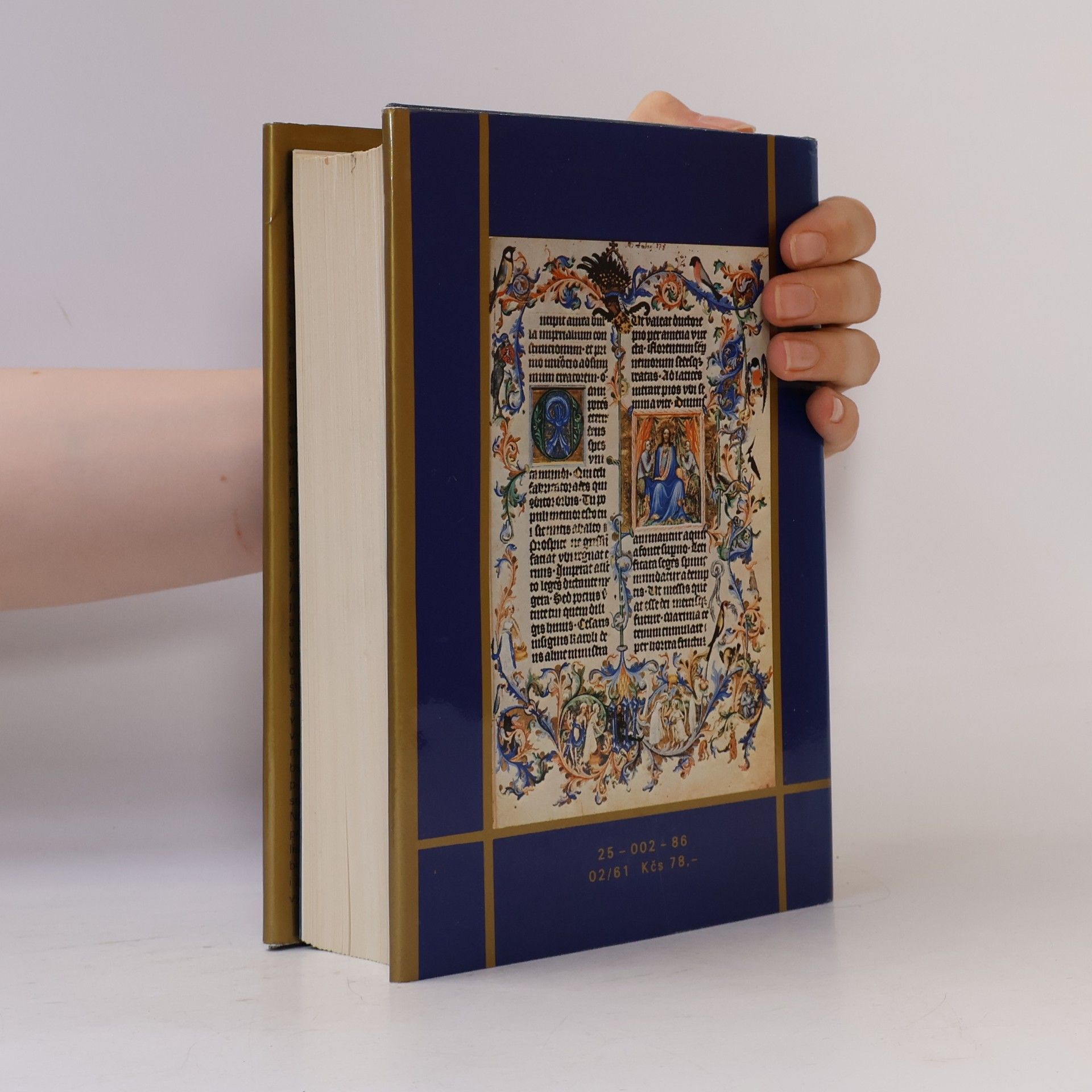 Jiří Spěváček Václav IV. 1361-1419