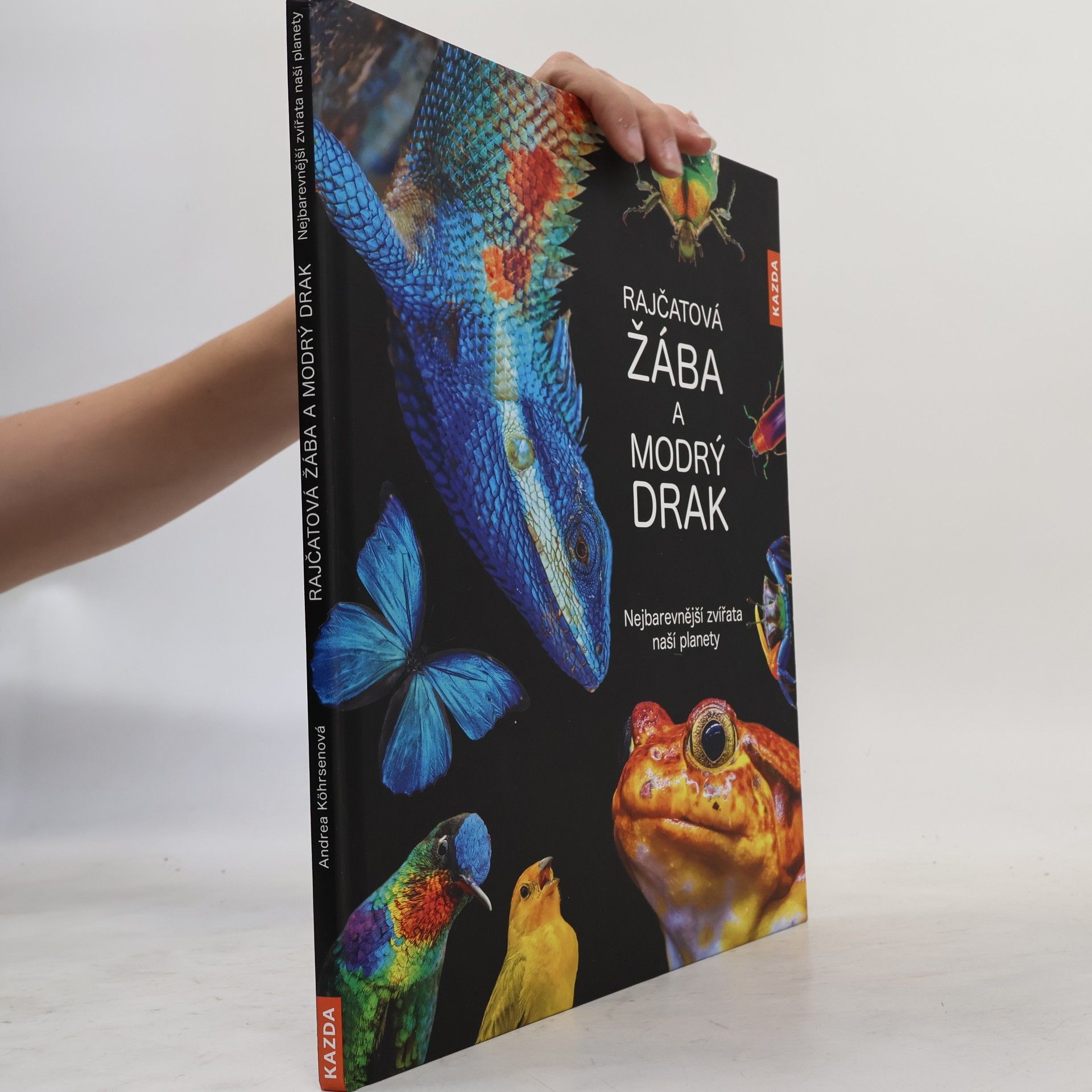 Various authors Rajčatová žába a modrý drak: nejbarevnější zvířata naší planety