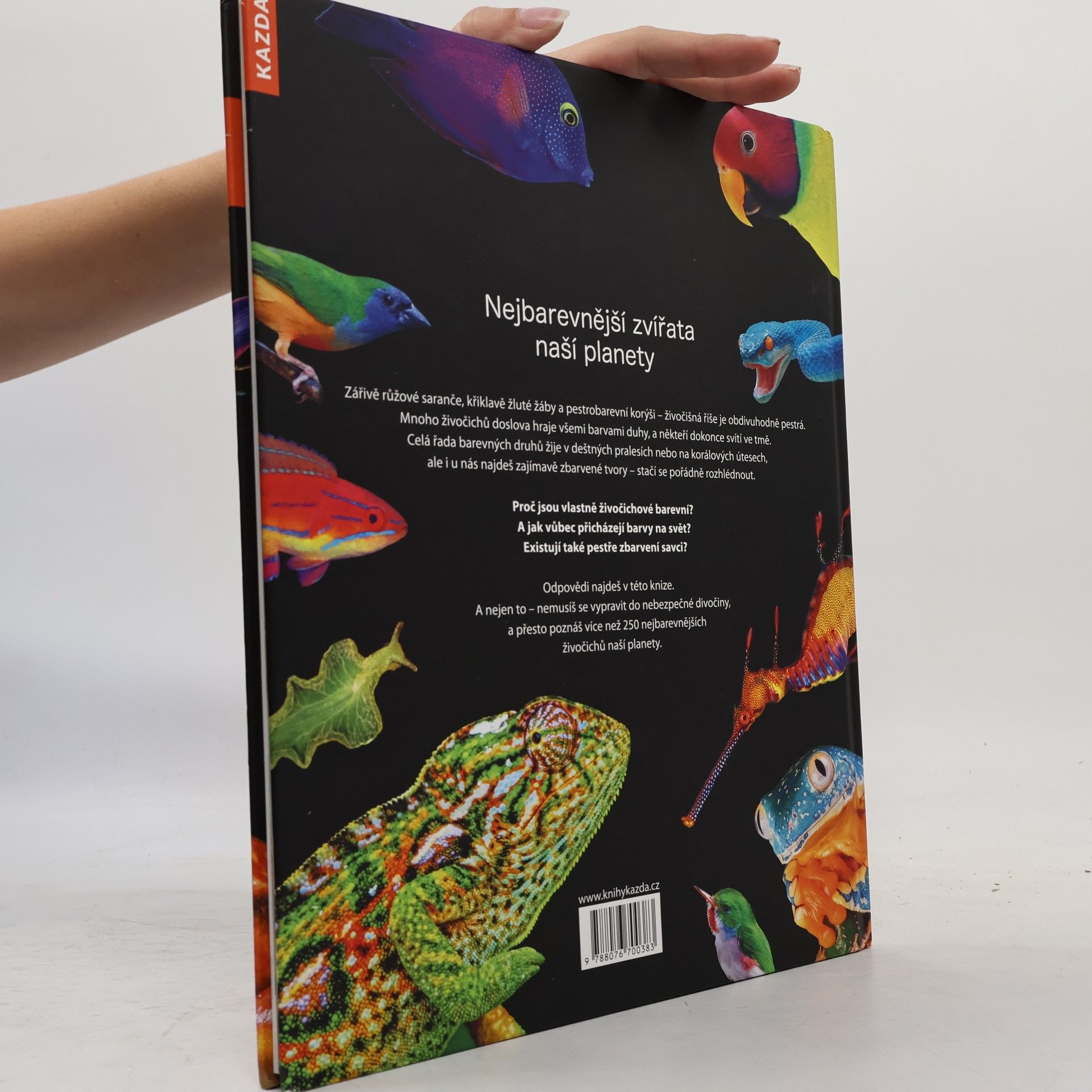 Autorenkollektiv Rajčatová žába a modrý drak: nejbarevnější zvířata naší planety
