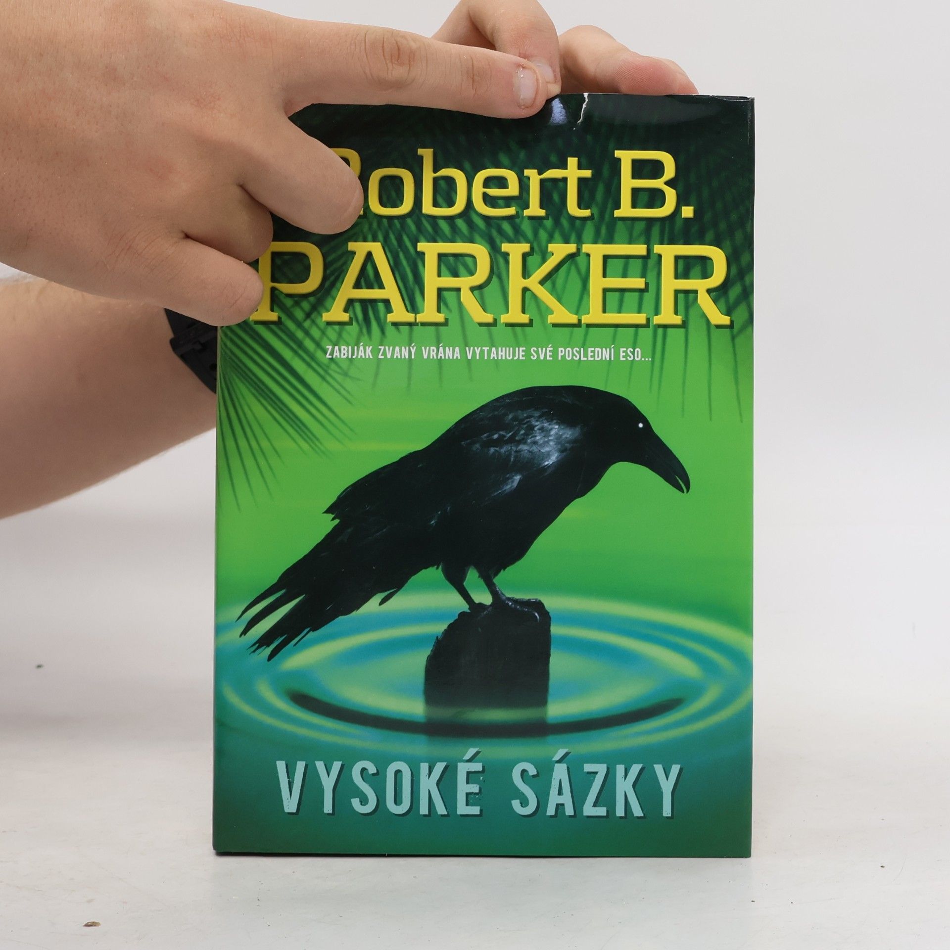 Robert B. Parker Vysoké sázky