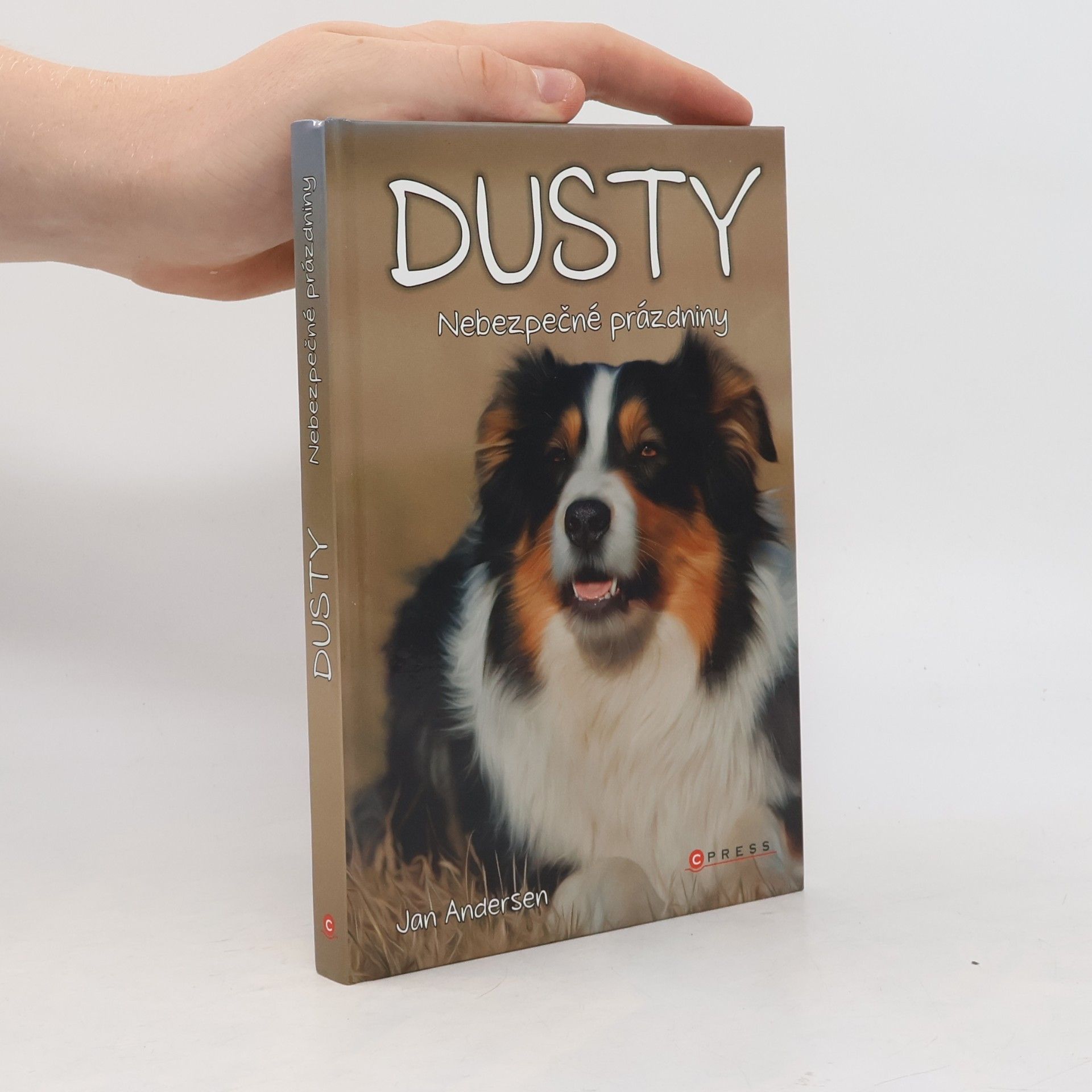 Wolfram Hänel Dusty: Nebezpečné prázdniny