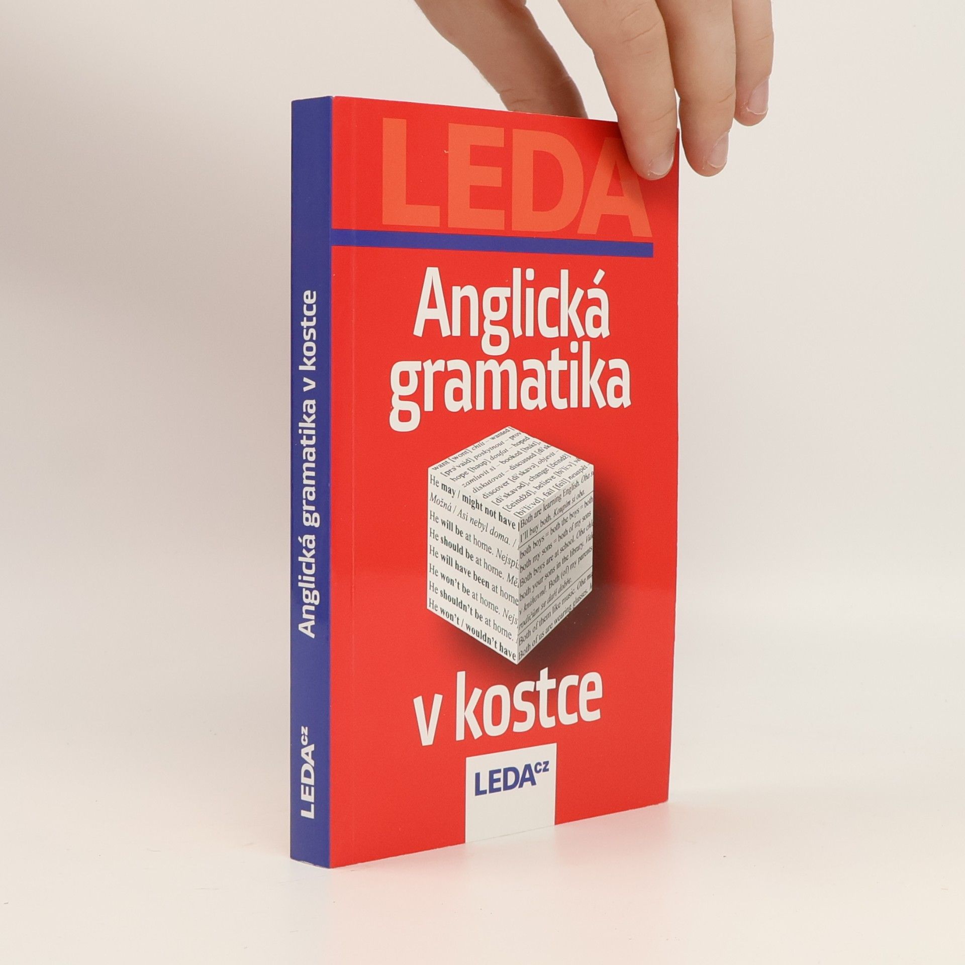 Kolektiv autorů Anglická gramatika v kostce