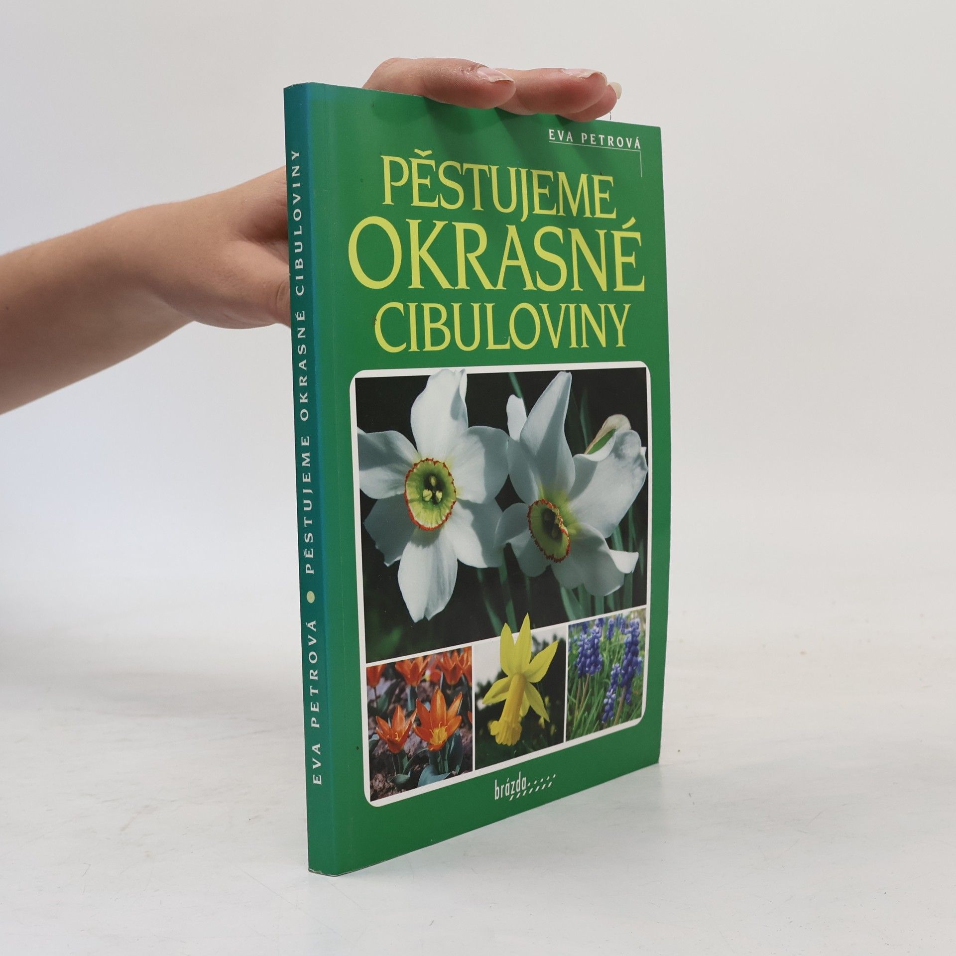 Eva Petrová Pěstujeme okrasné cibuloviny
