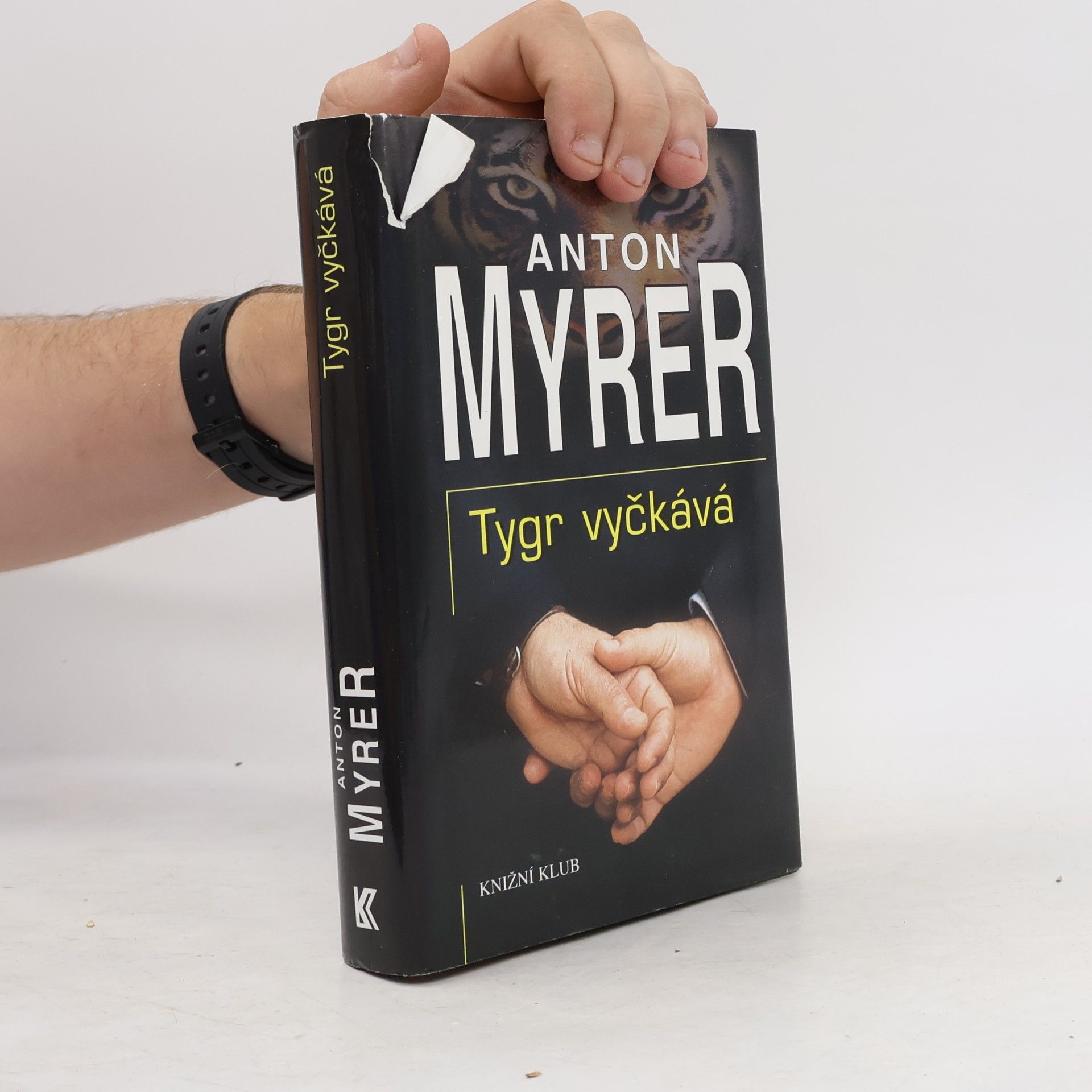 Anton Myrer Tygr vyčkává