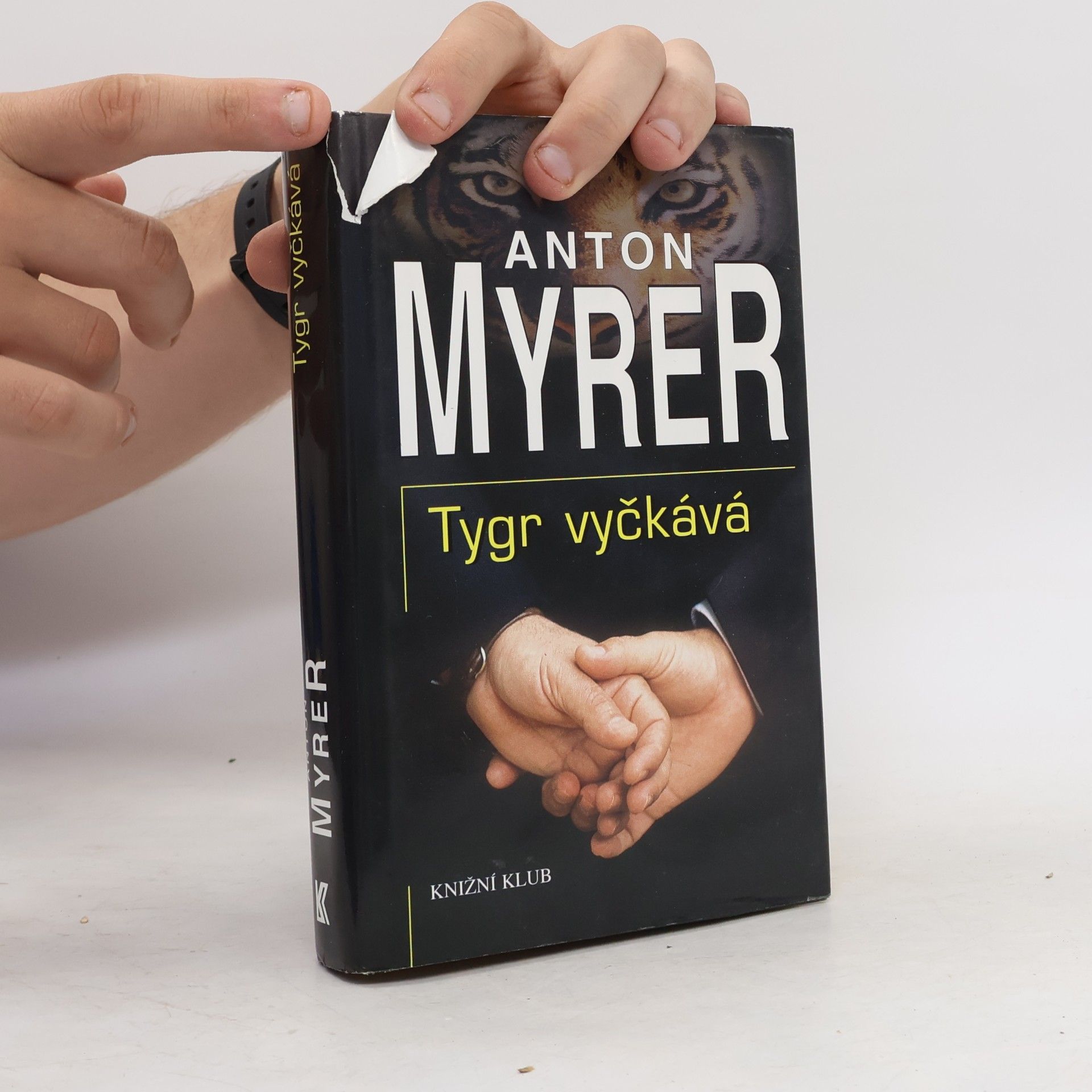 Anton Myrer Tygr vyčkává