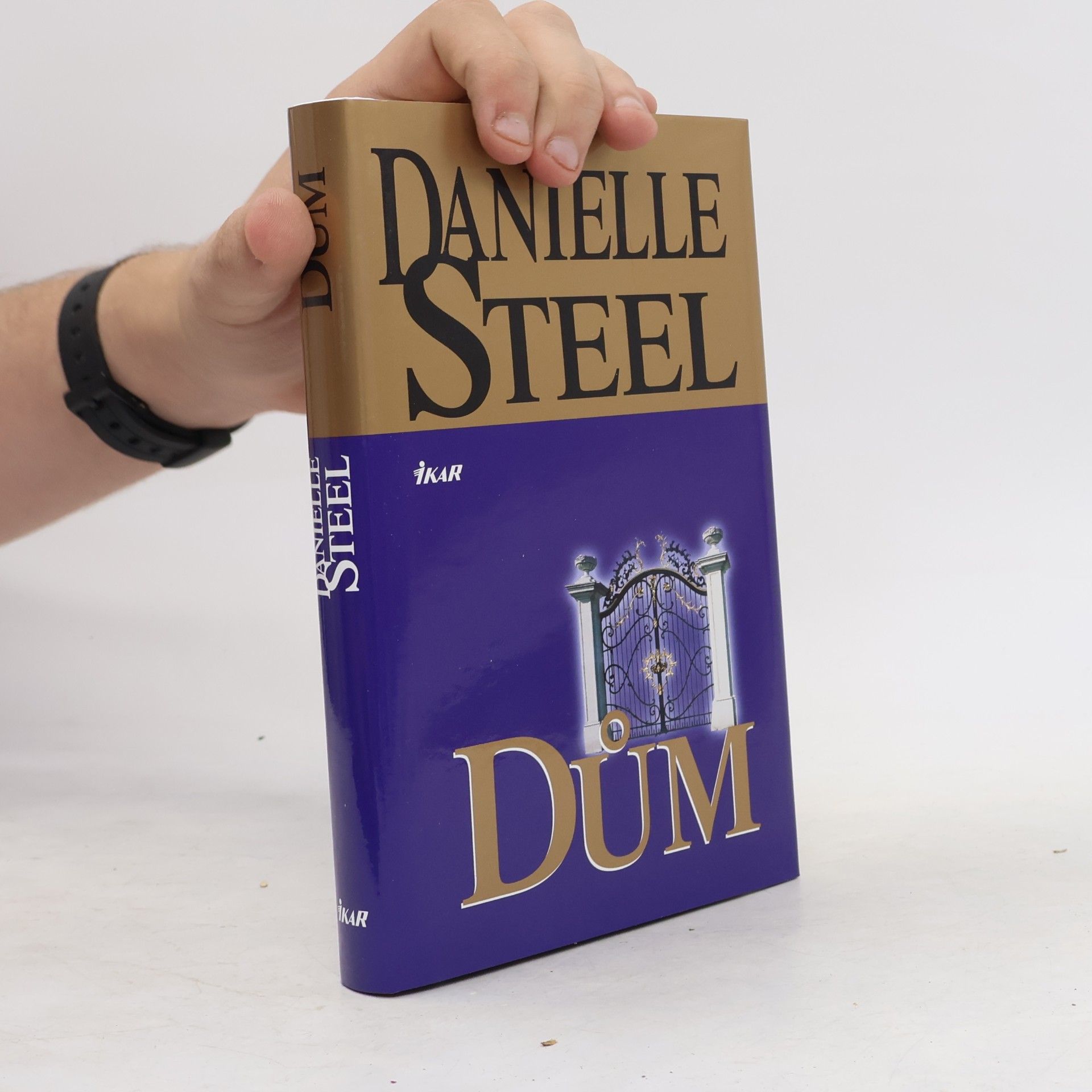 Danielle Steel Dům
