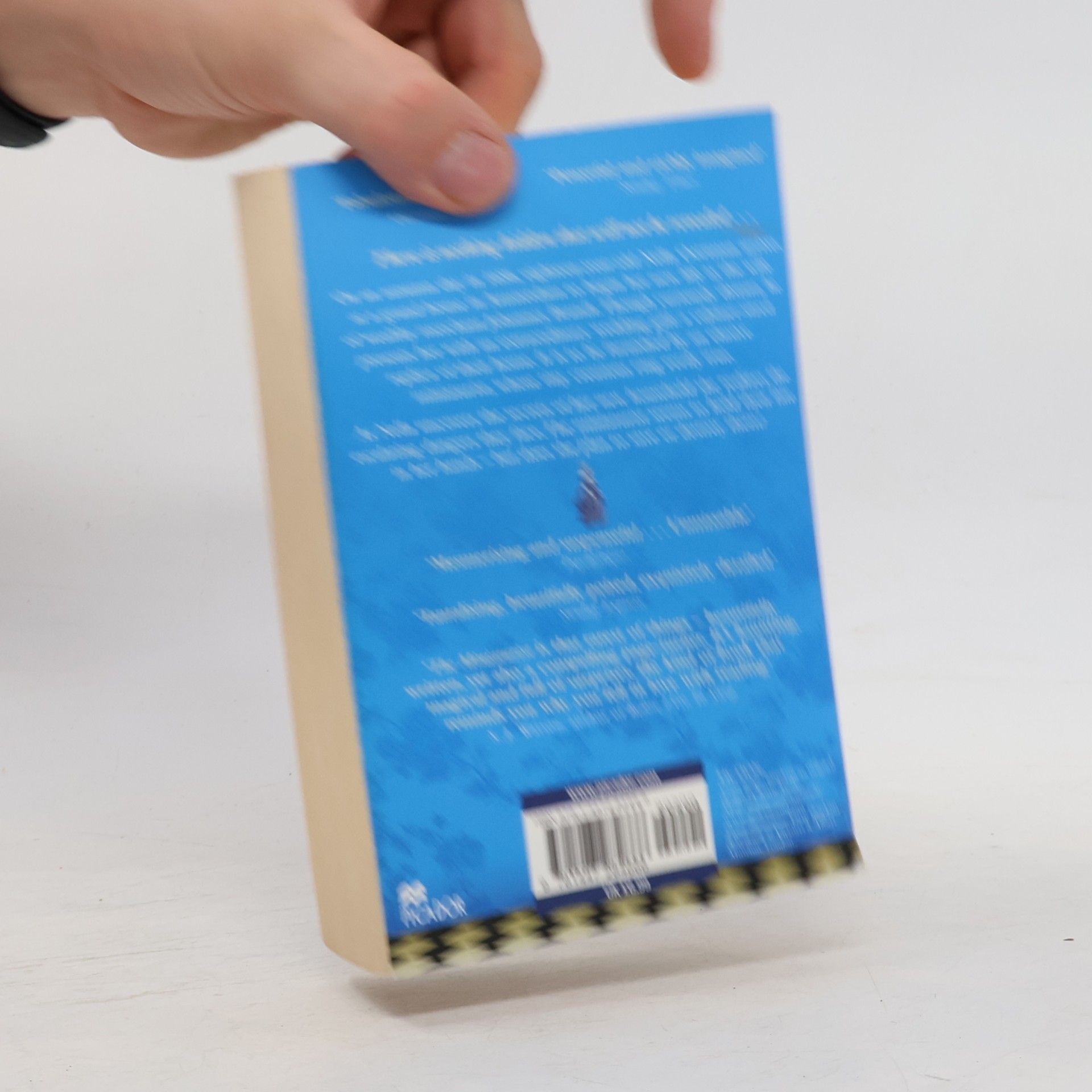 Jessie Burton The miniaturist