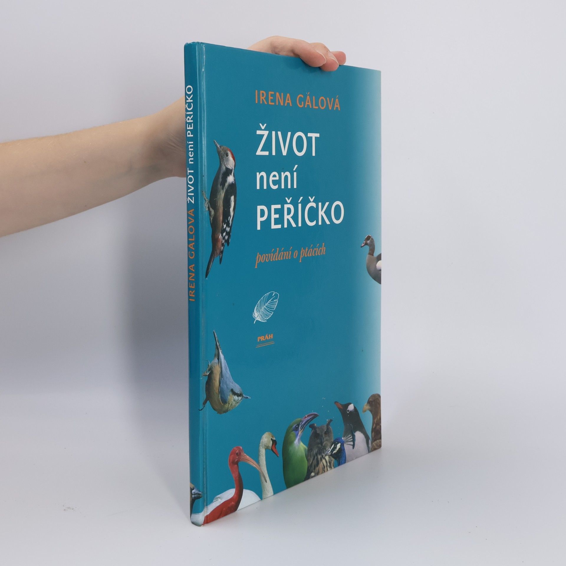 Život není peříčko: Povídání o ptácích