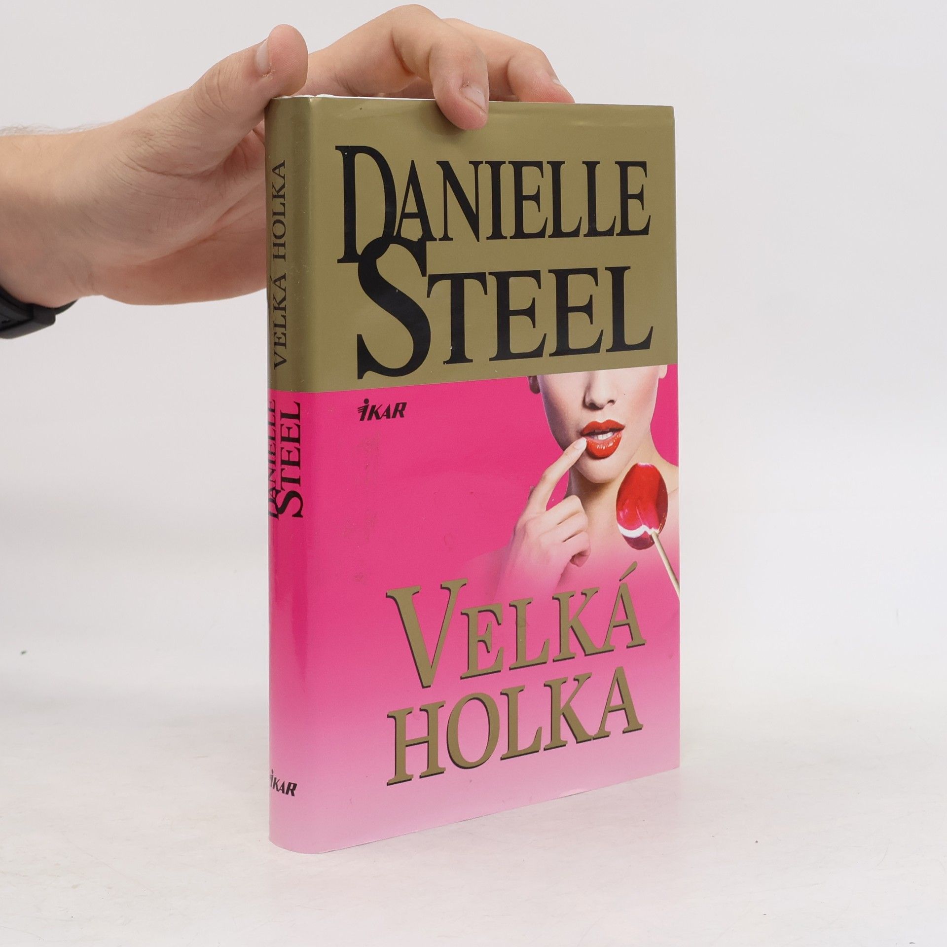 Danielle Steel Velká holka