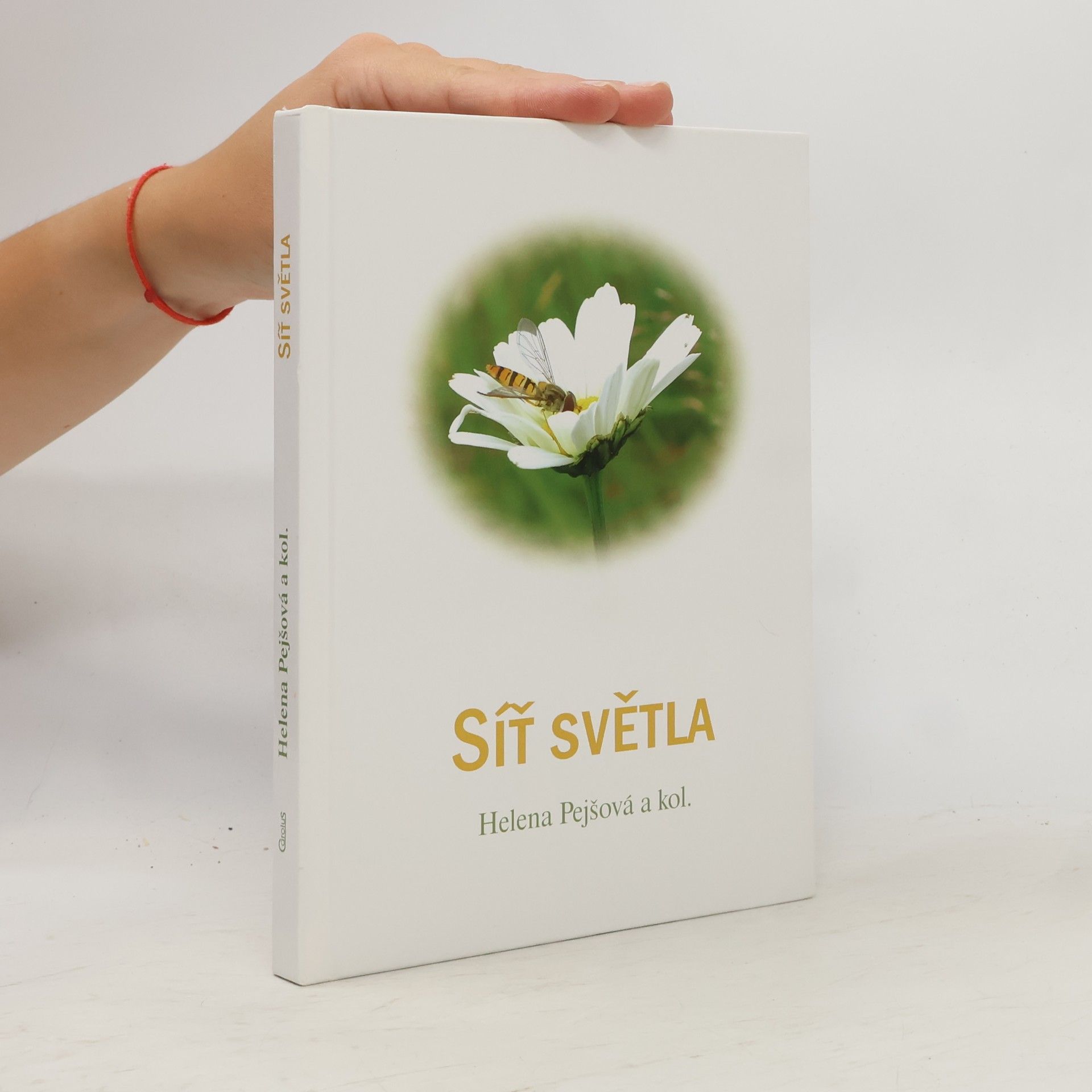 Helena Pejšová Síť světla, aneb, Co v učebnici biologie nebylo : povídání o rodném kraji, duchovním hledání a nalézání