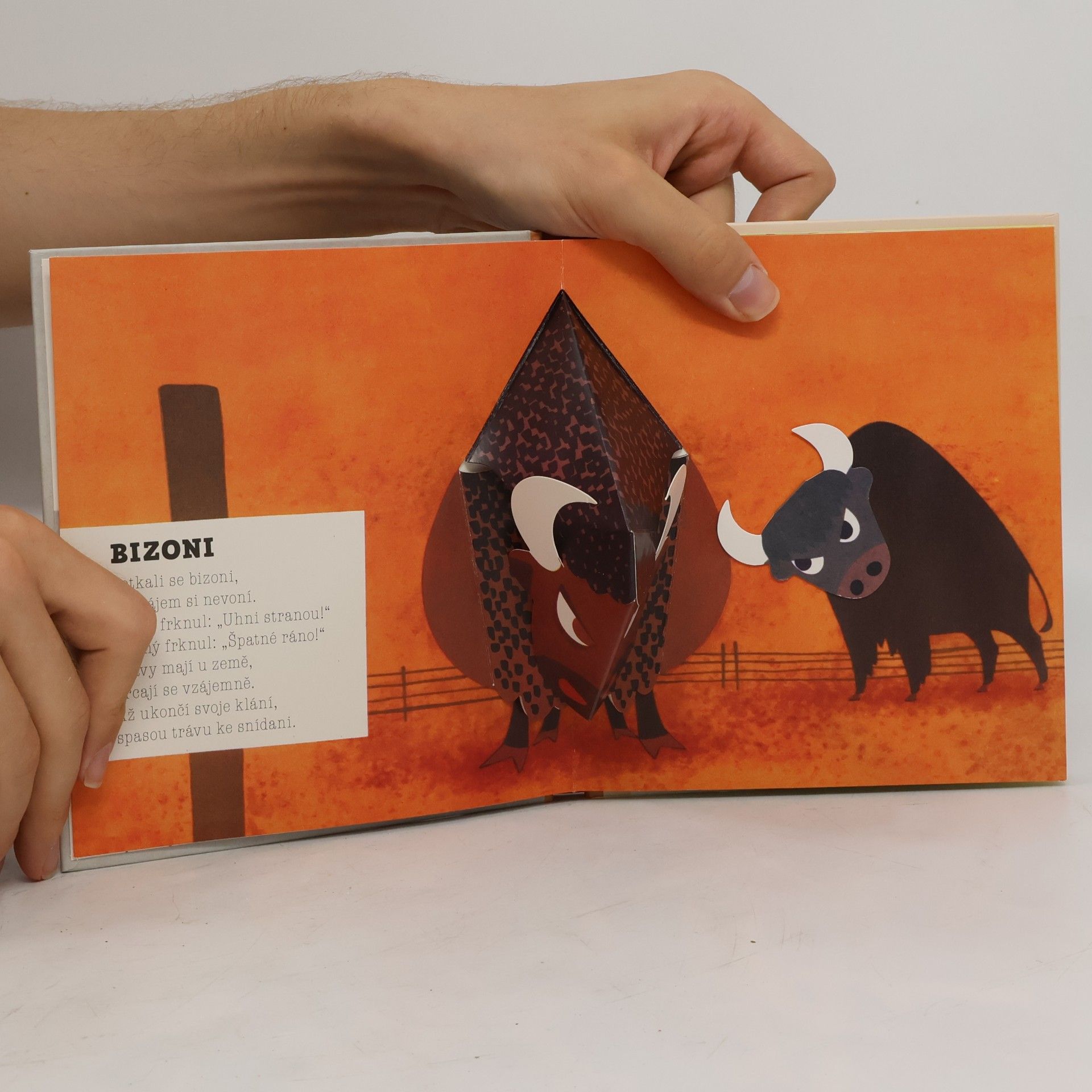 Rudolf Lukeš Lev a jeho kamarádi (pop-up leporelo)