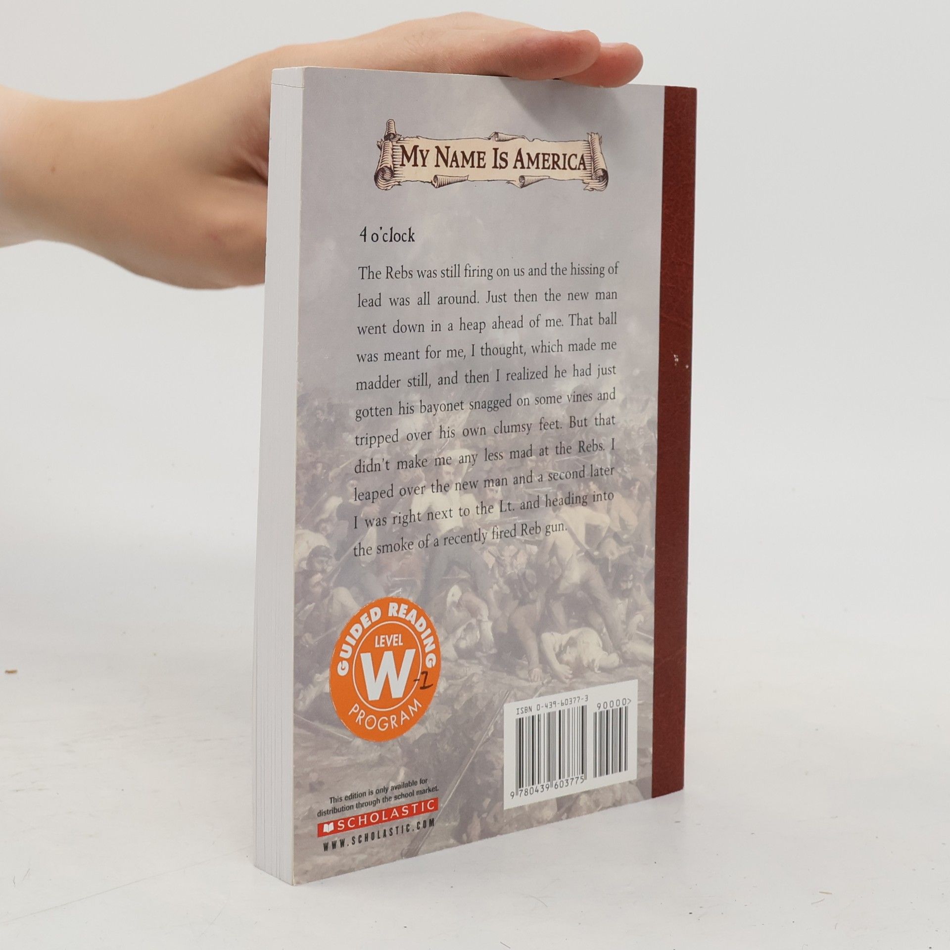 Jim Murphy My Name Is America: The Journal Of James Edmond Pease - A Civil War Union Soldier