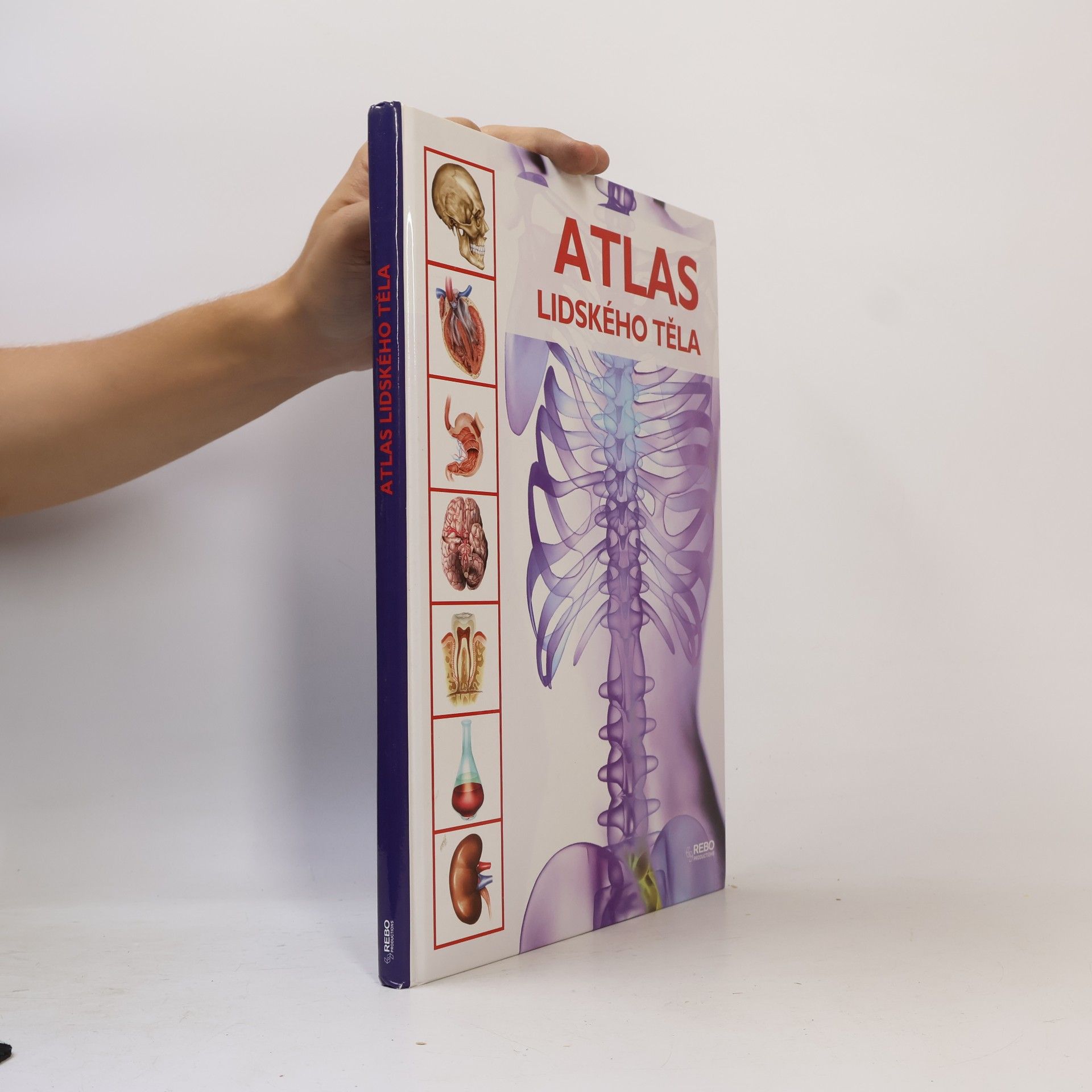 Kolektív autorov Atlas lidského těla