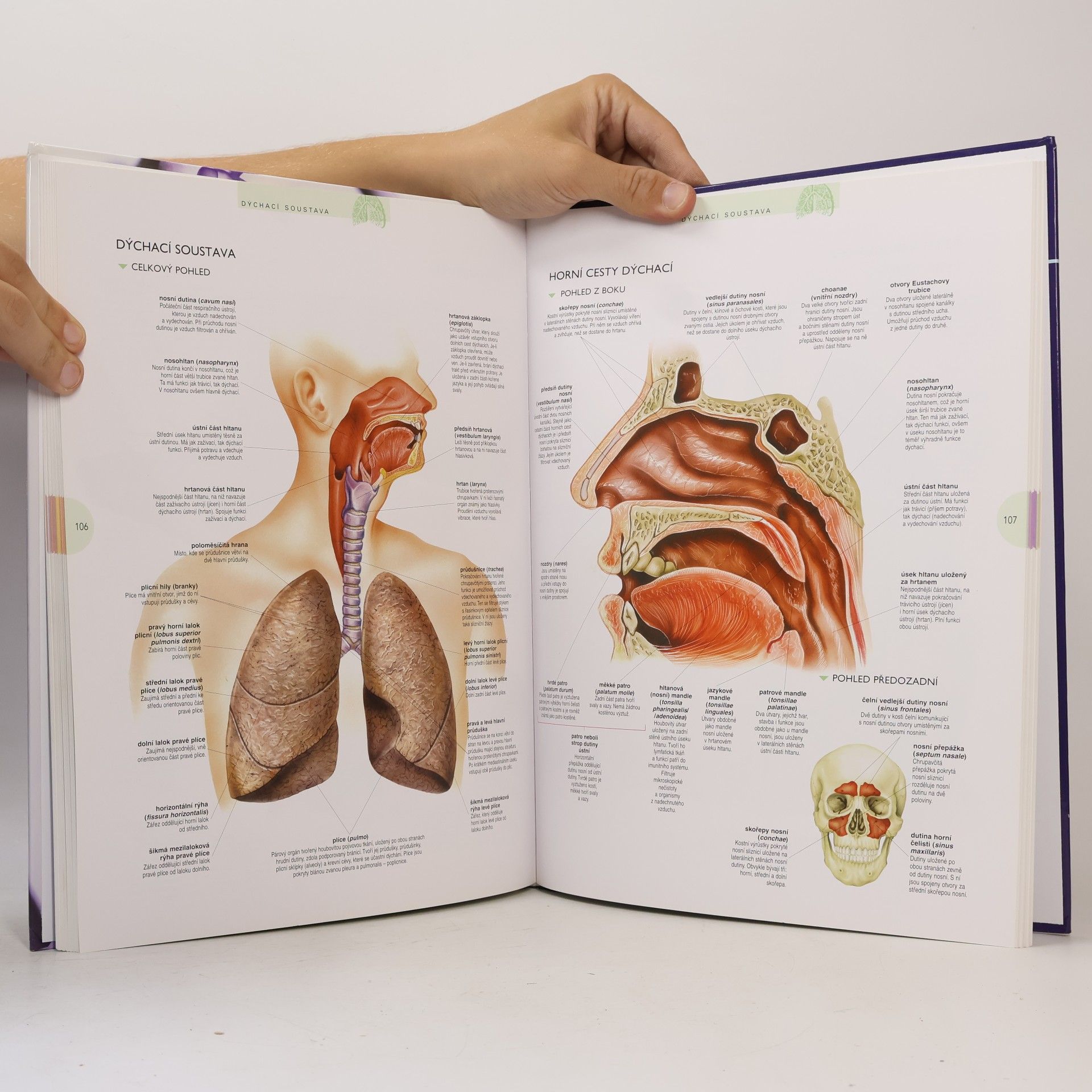 Kolektív autorov Atlas lidského těla