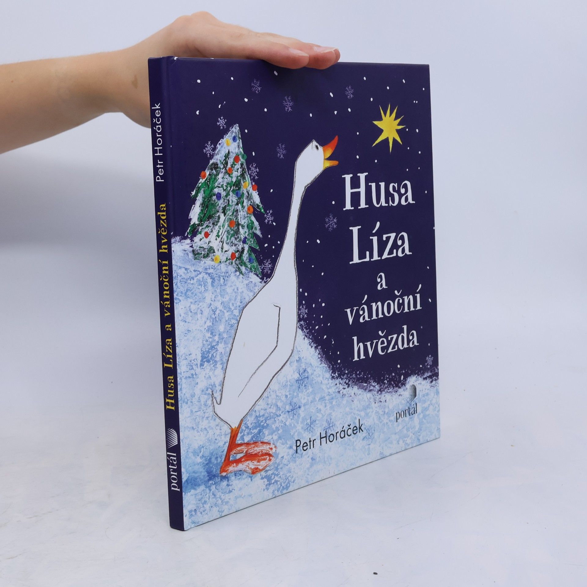 Horacek Petr Husa Líza a vánoční hvězda