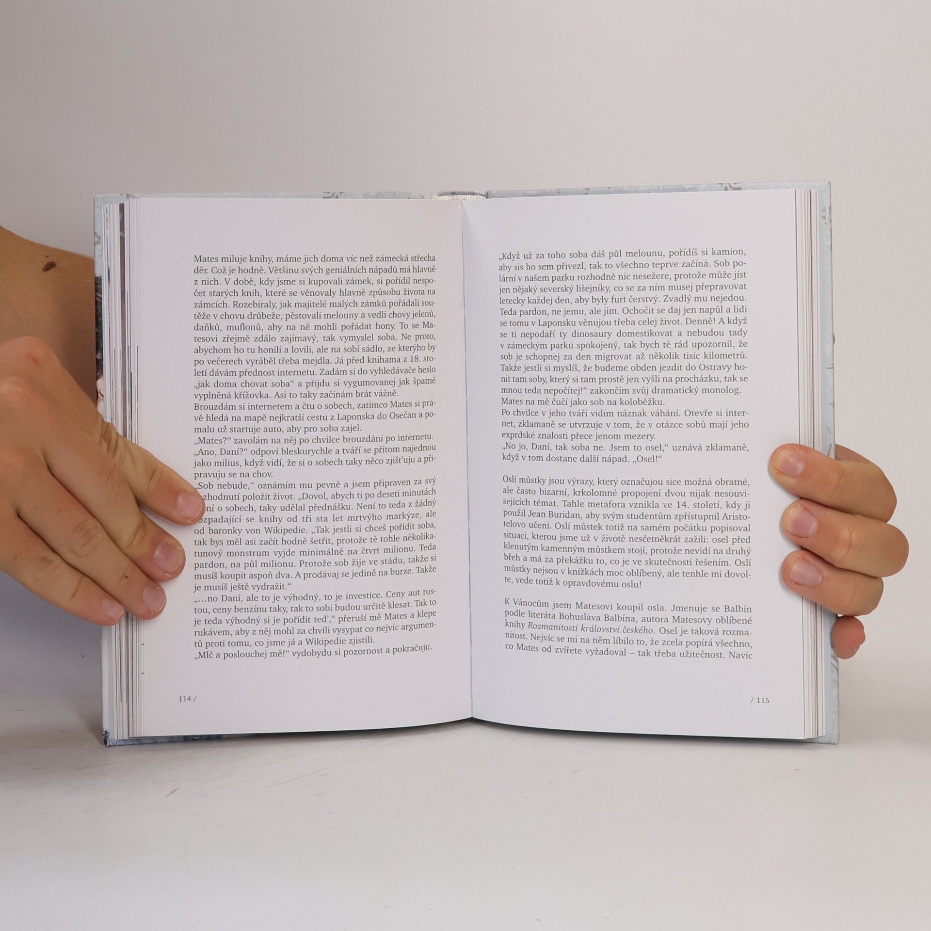 Daniel Krejčík Nadělení. Příběhy kluka ze zámku