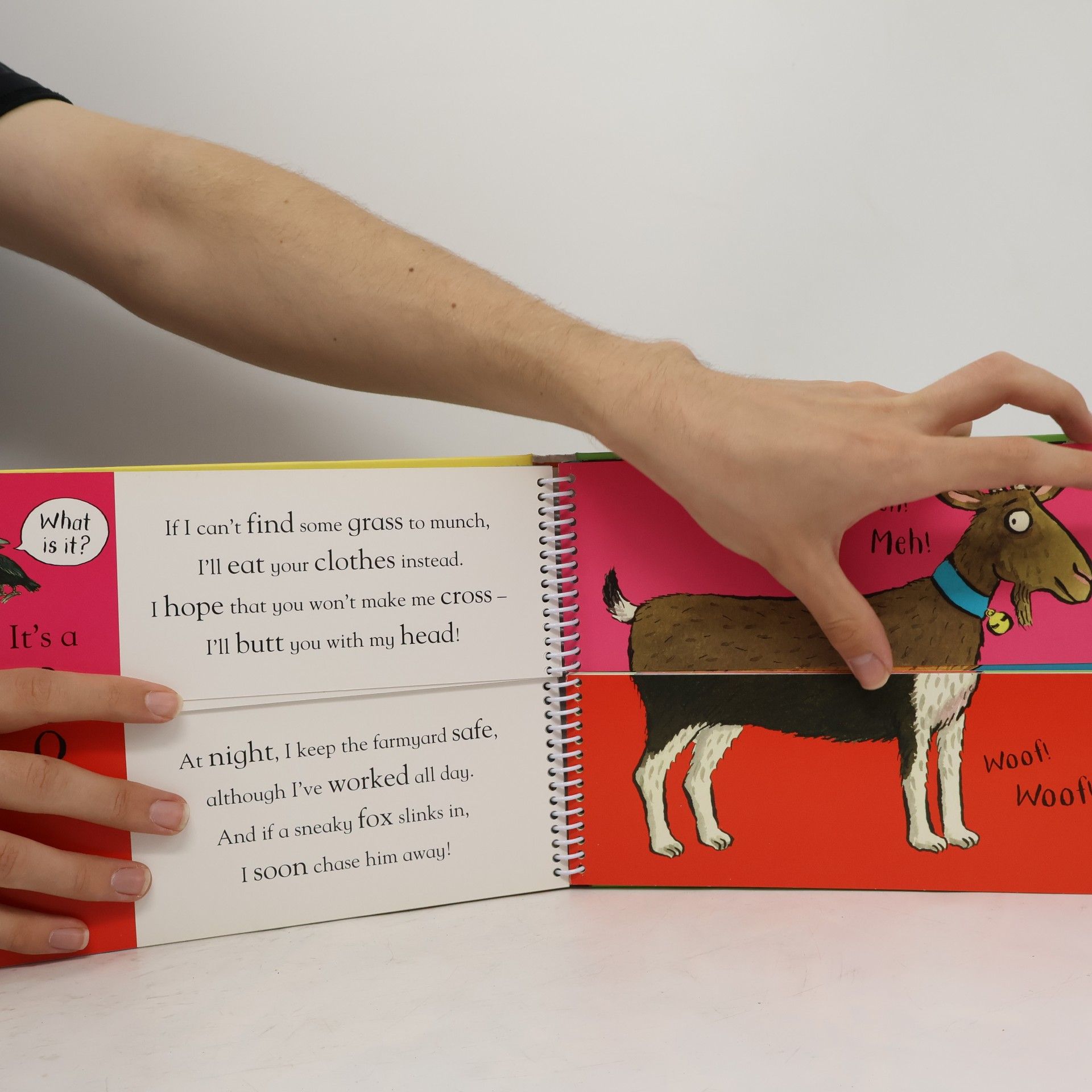Axel Scheffler Axel Scheffler's Flip Flap Farm