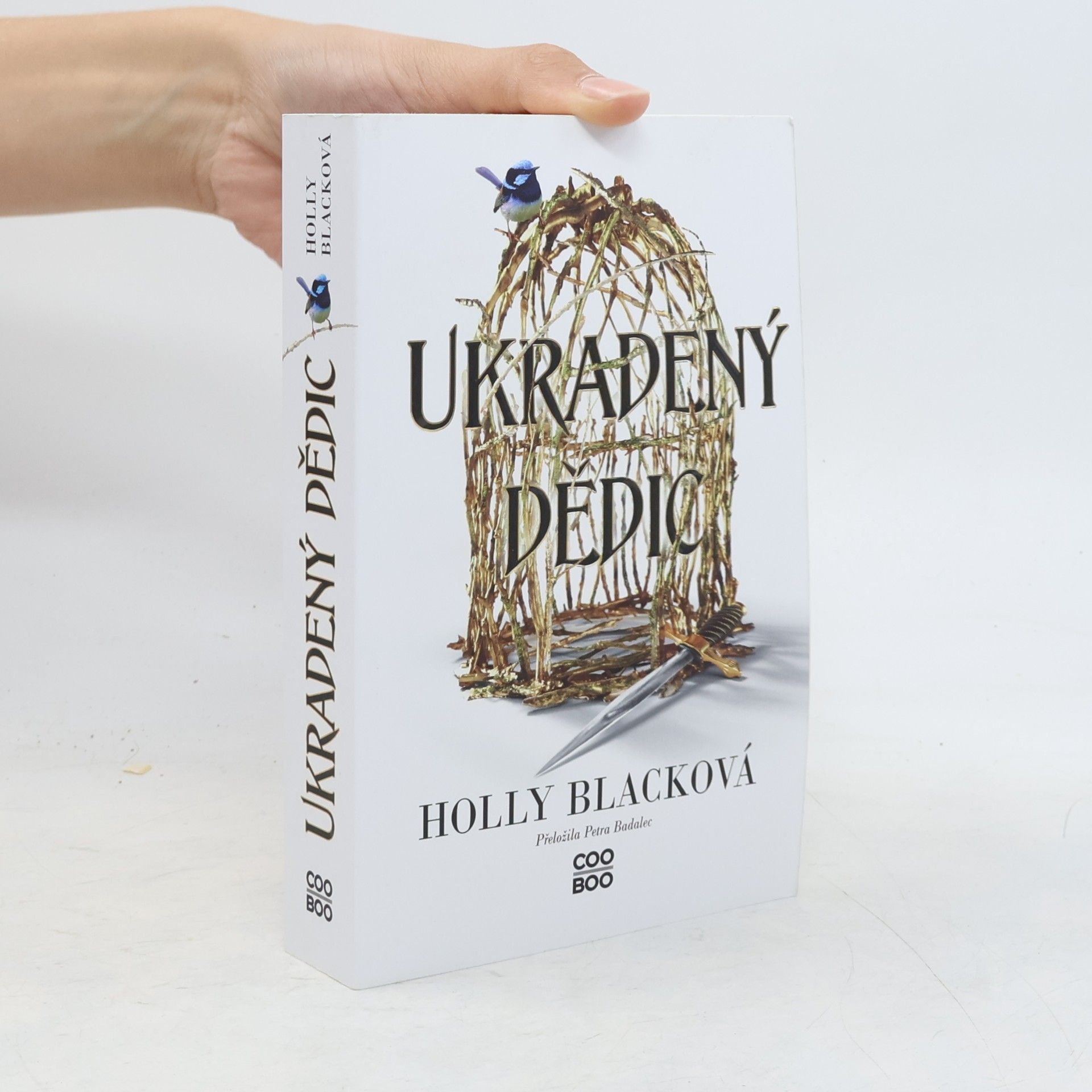 Holly Black Ukradený dědic