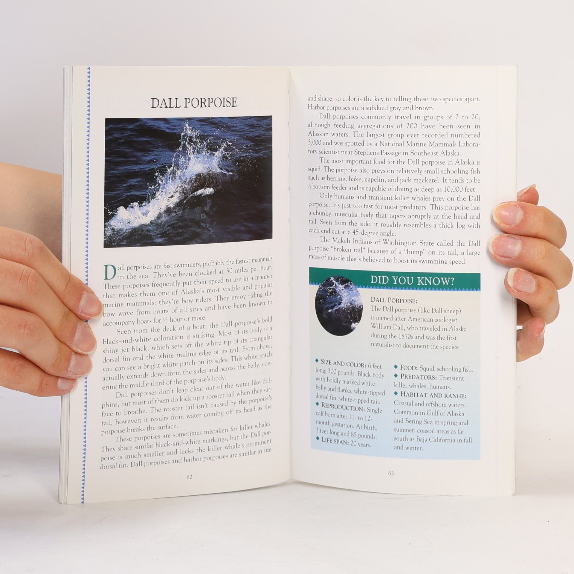 Dave Smith Alaska Pocket Guide: Alaska's Mammals