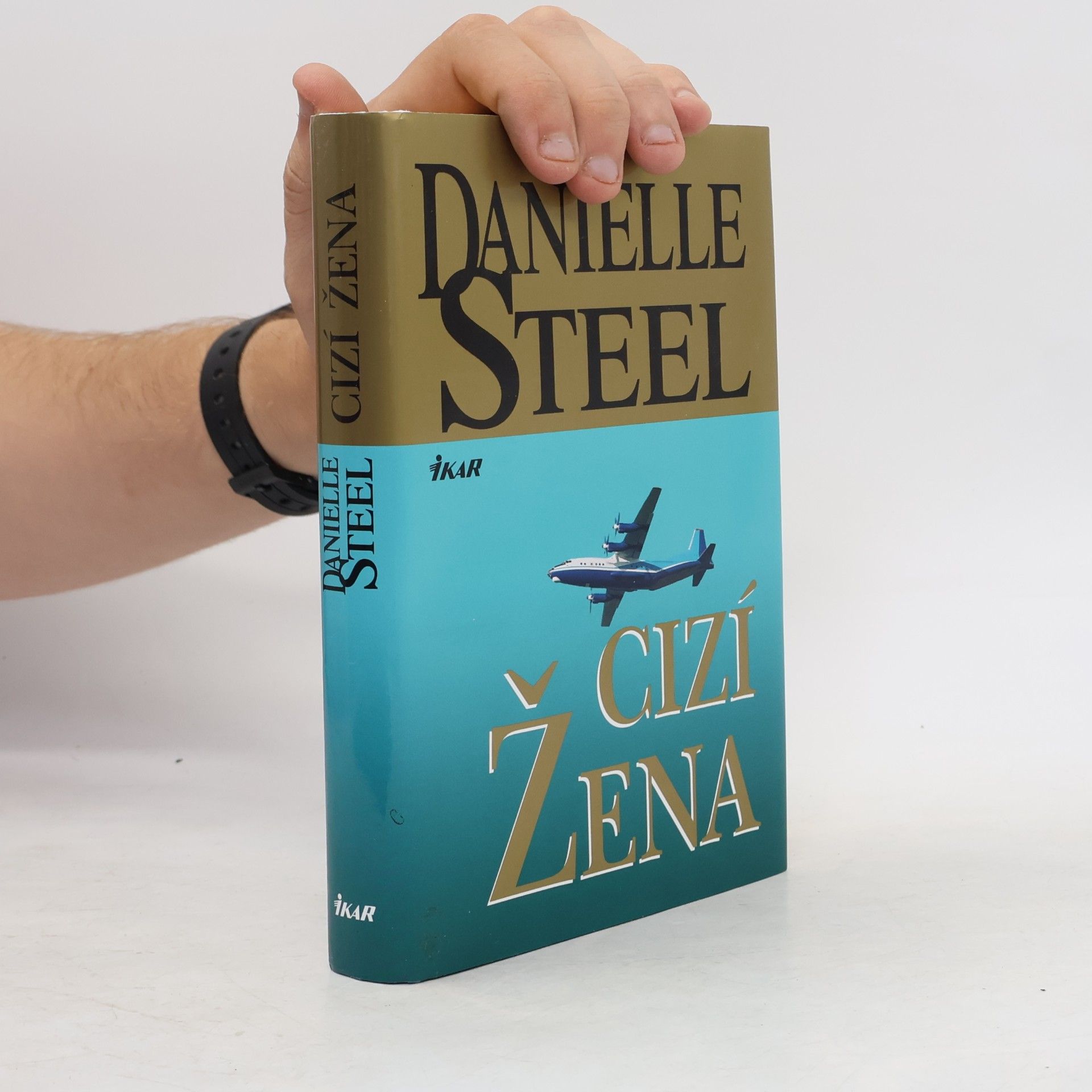 Danielle Steel Cizí žena