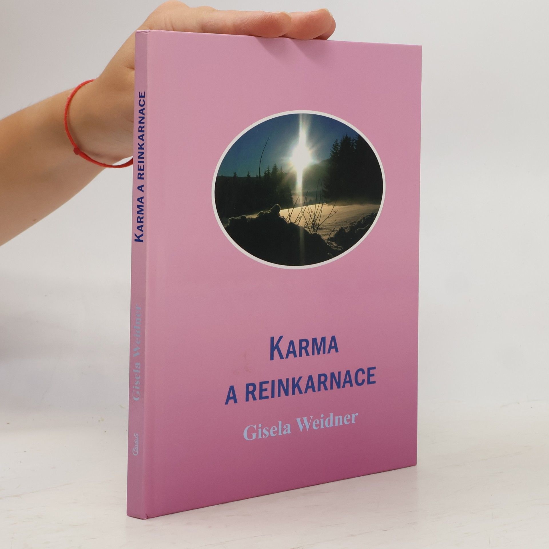 Karma a reinkarnace
