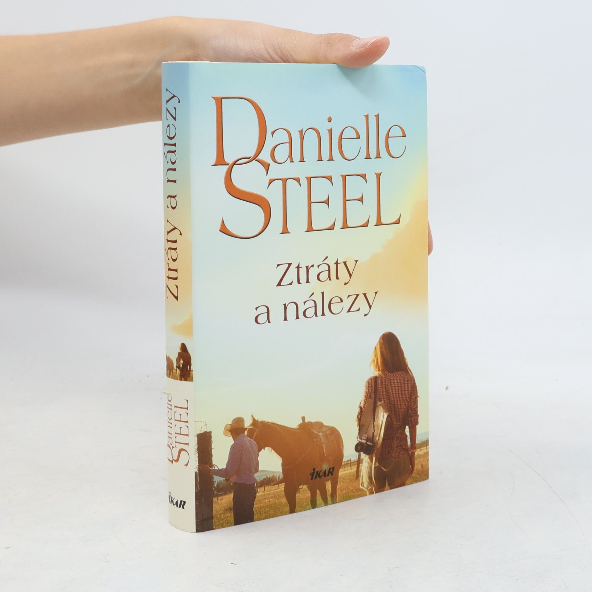 Danielle Steel Ztráty a nálezy