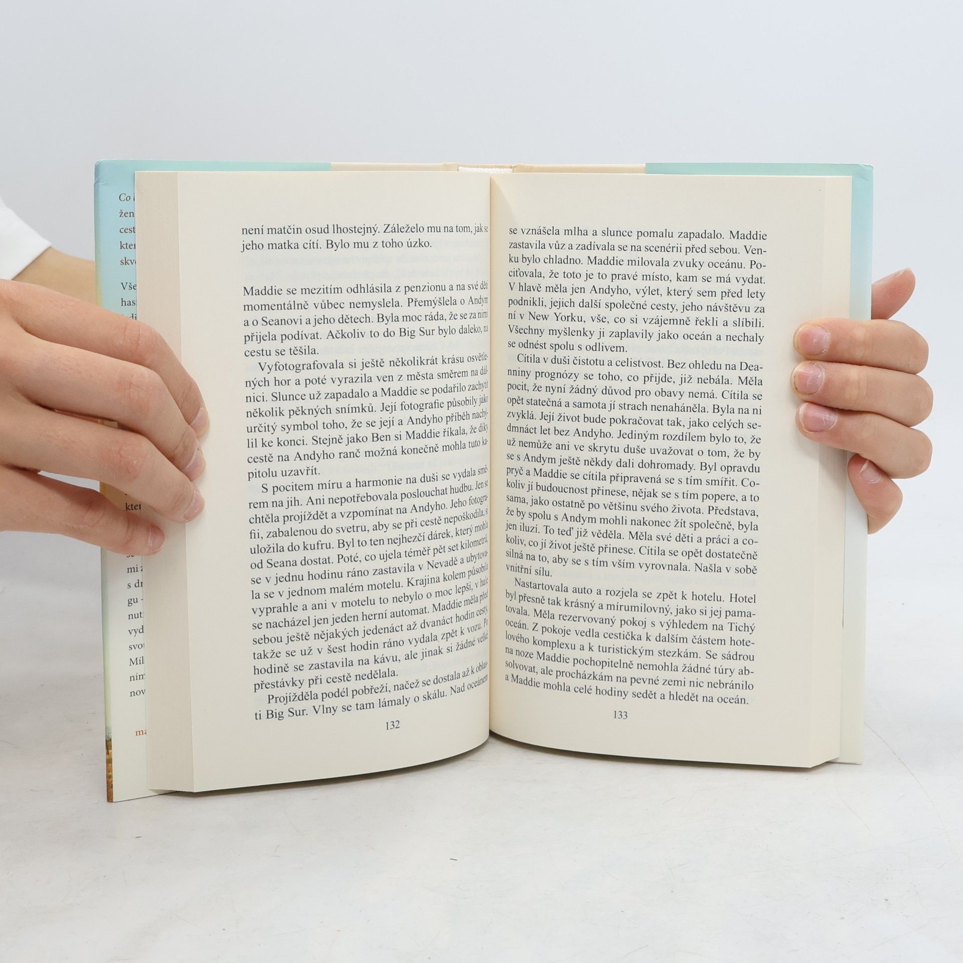 Danielle Steel Ztráty a nálezy