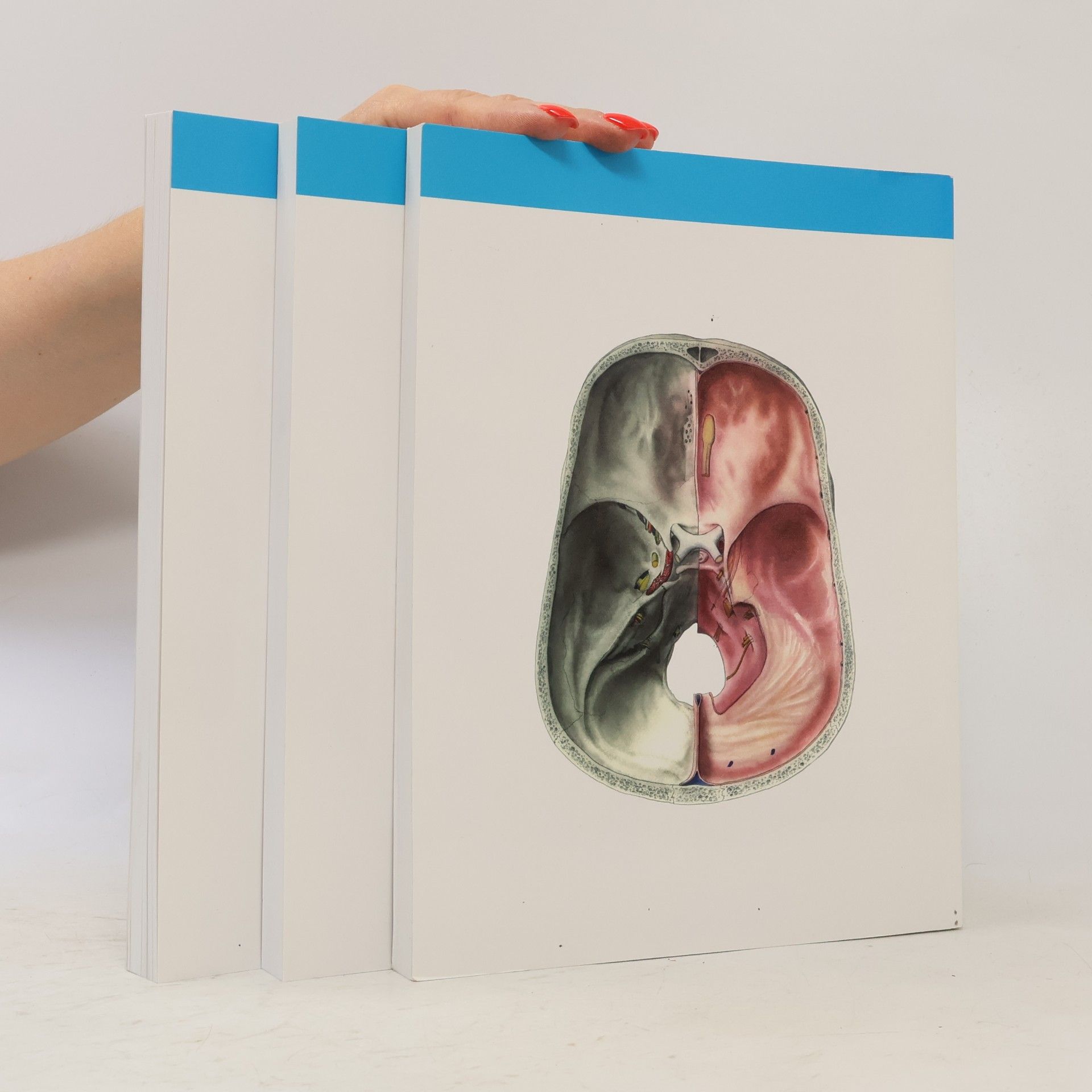 Radomír Čihák Anatomie 3. Svazky I-III