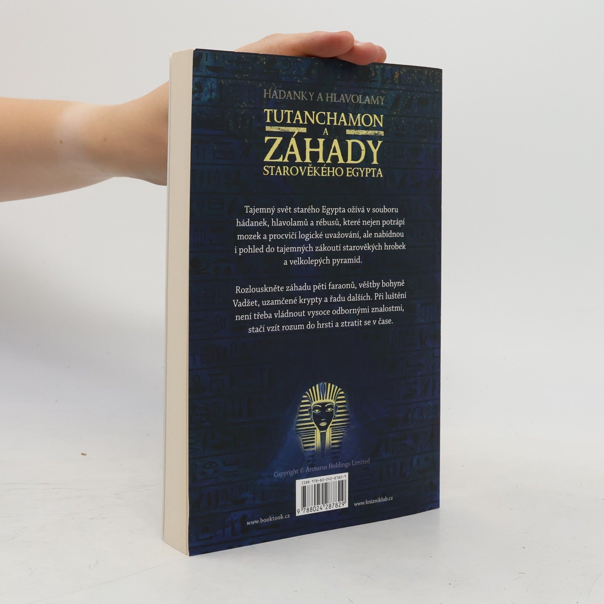 Gareth Moore Tutanchamon a záhady starověkého Egypta
